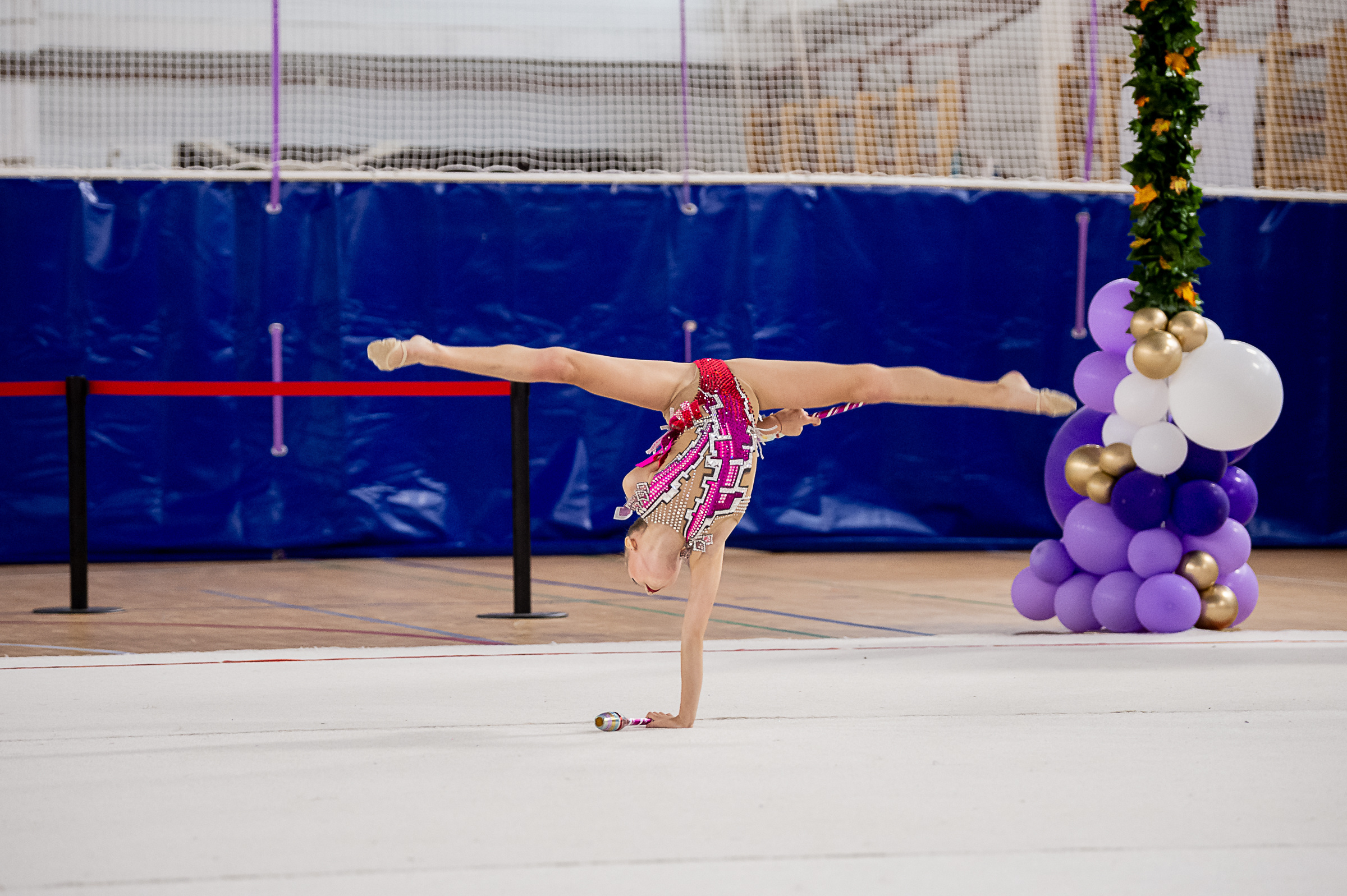 Межрегиональный фестиваль по художественной гимнастике «Выборгская Осе. Спортивный и репортажный фотограф в Санкт-Петербурге Алексей Ковалев