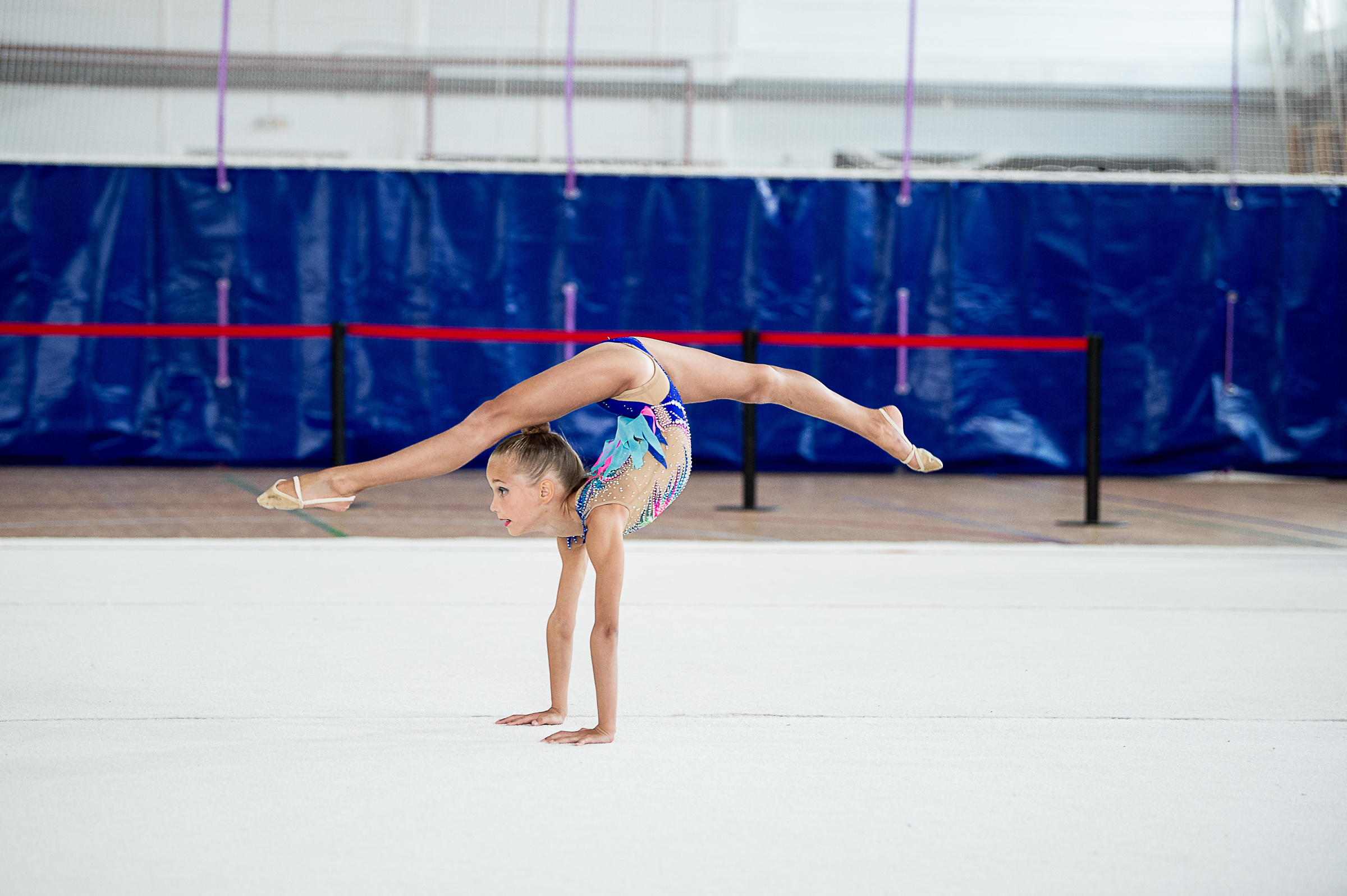Межрегиональный фестиваль по художественной гимнастике «Выборгская Осе. Спортивный и репортажный фотограф в Санкт-Петербурге Алексей Ковалев