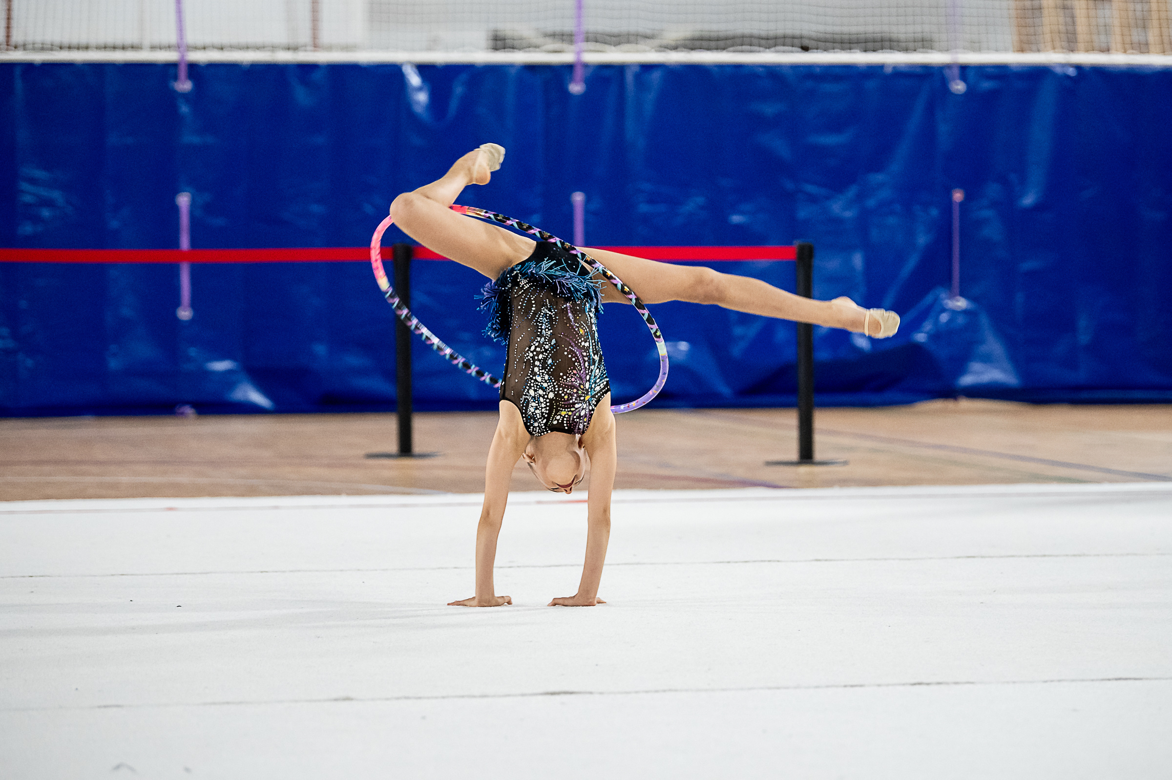 Межрегиональный фестиваль по художественной гимнастике «Выборгская Осе. Спортивный и репортажный фотограф в Санкт-Петербурге Алексей Ковалев