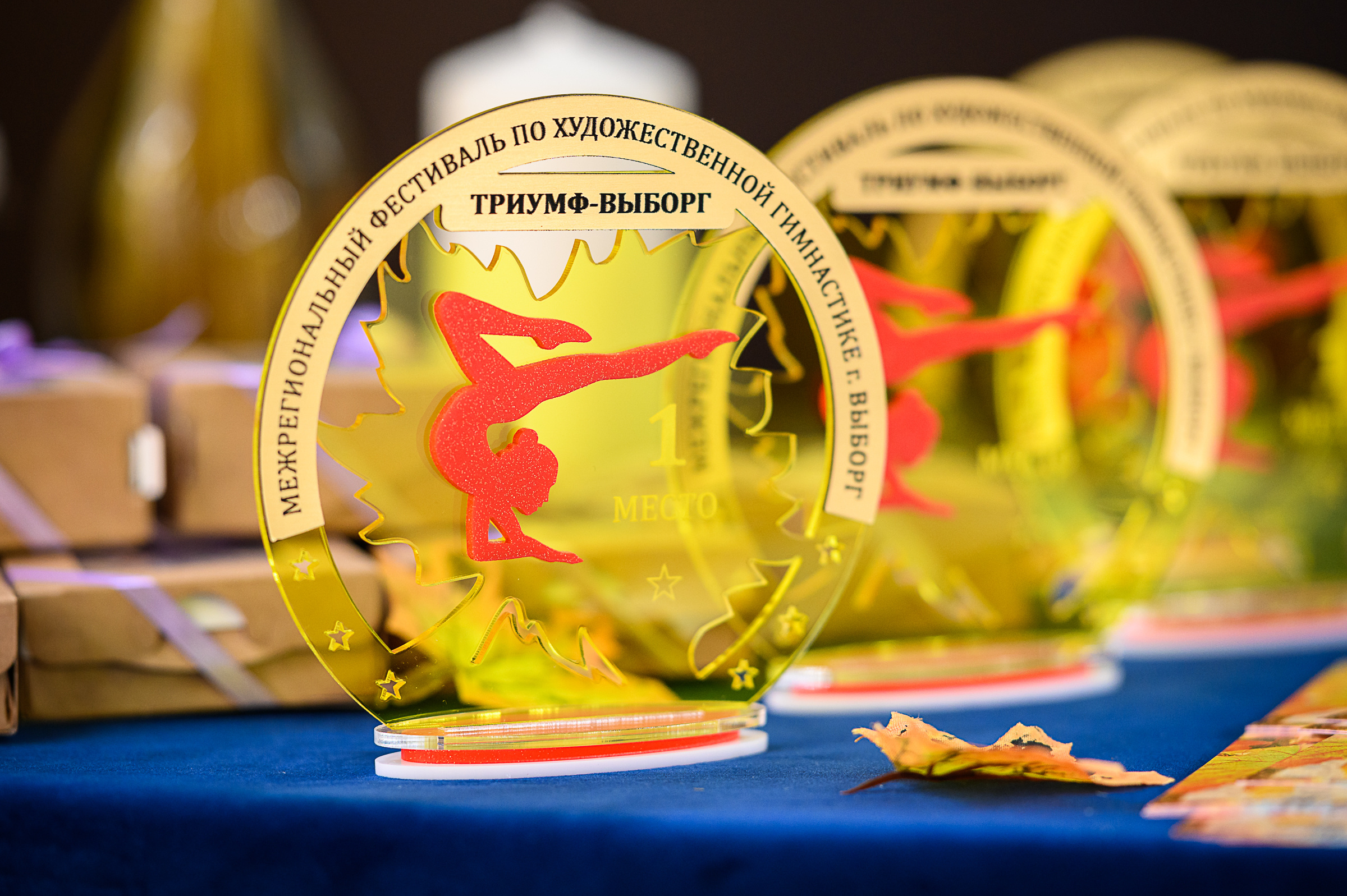 Межрегиональный фестиваль по художественной гимнастике «Выборгская Осе. Спортивный и репортажный фотограф в Санкт-Петербурге Алексей Ковалев