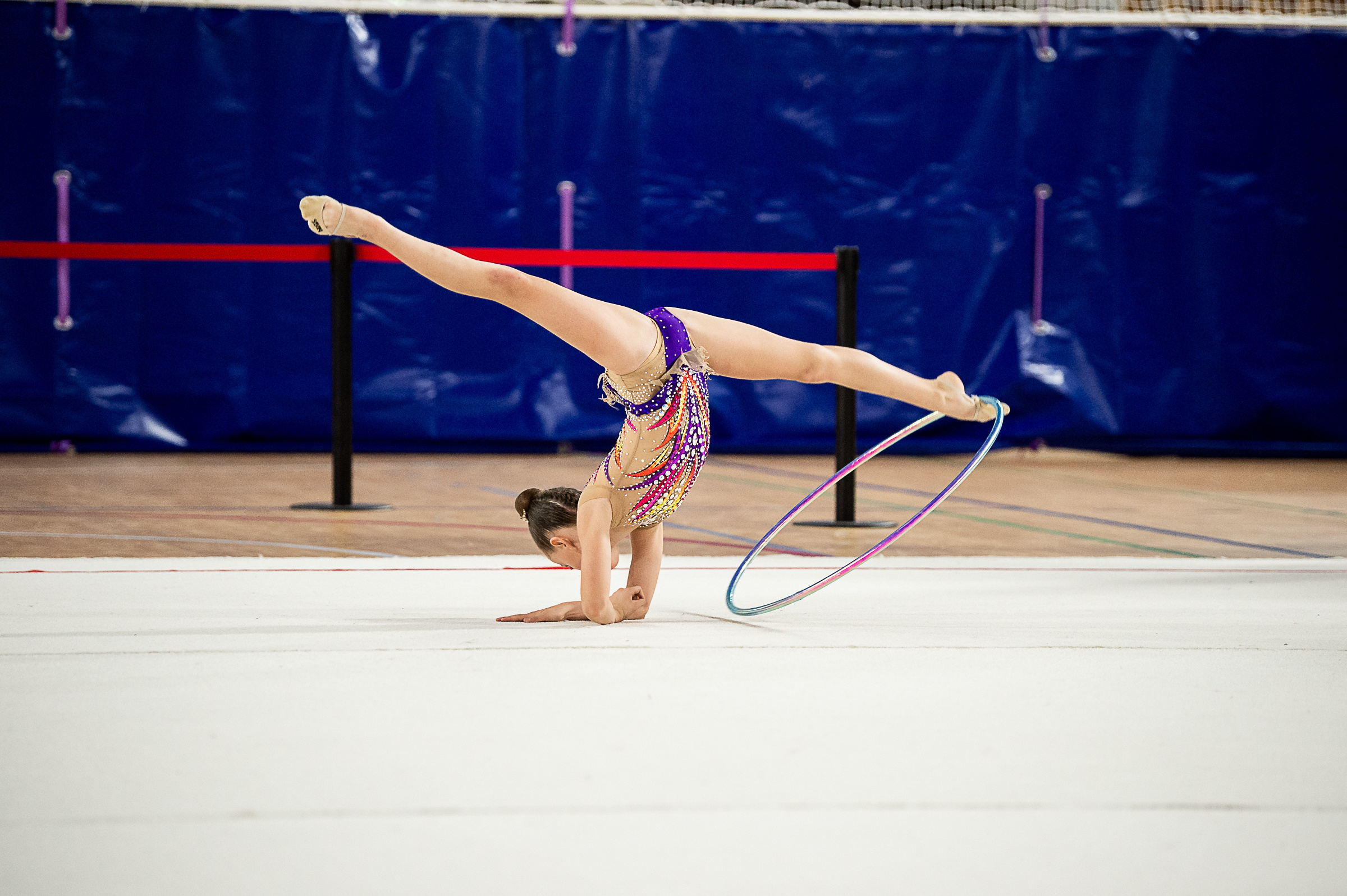 Межрегиональный фестиваль по художественной гимнастике «Выборгская Осе. Спортивный и репортажный фотограф в Санкт-Петербурге Алексей Ковалев