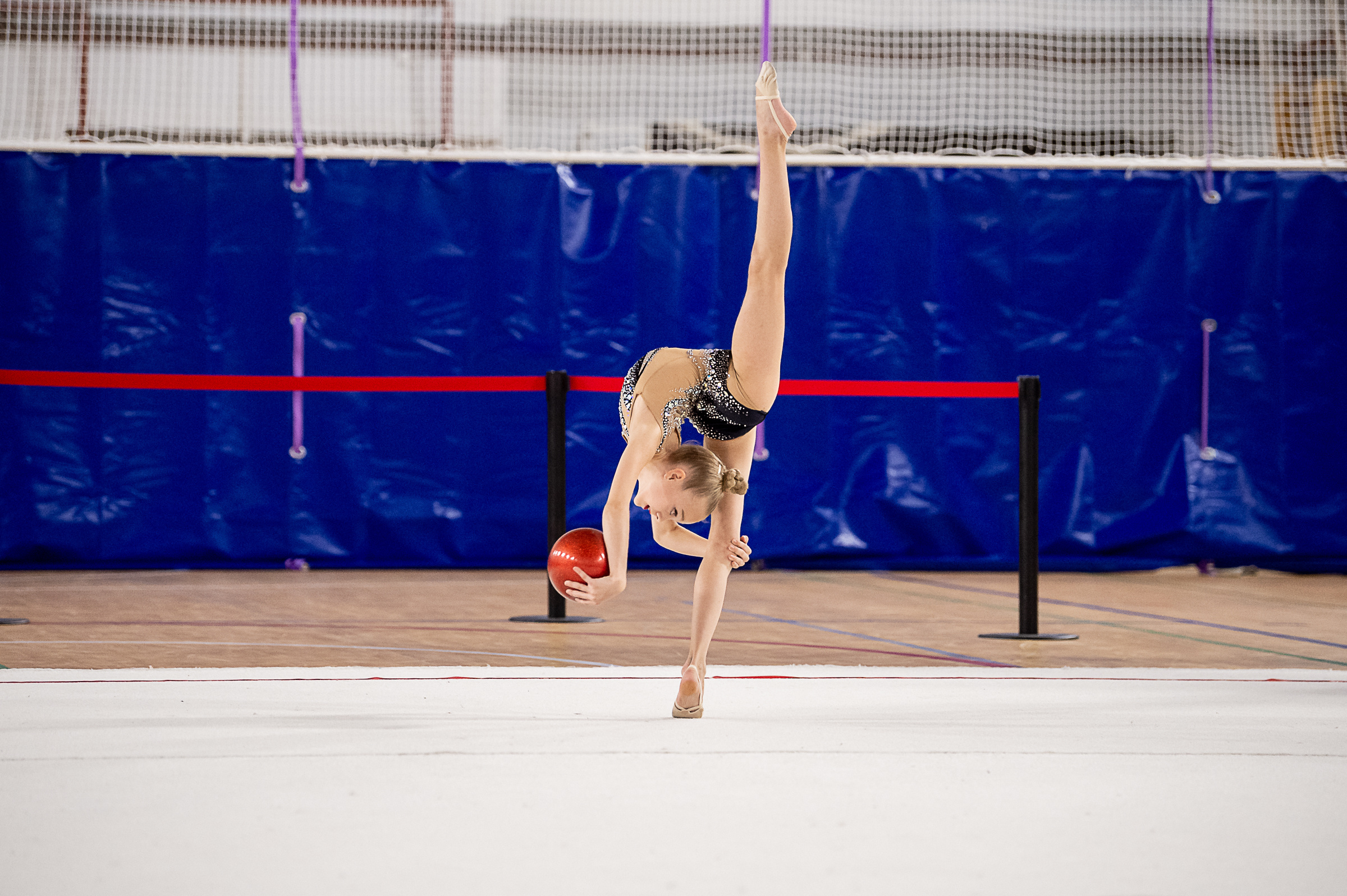 Межрегиональный фестиваль по художественной гимнастике «Выборгская Осе. Спортивный и репортажный фотограф в Санкт-Петербурге Алексей Ковалев