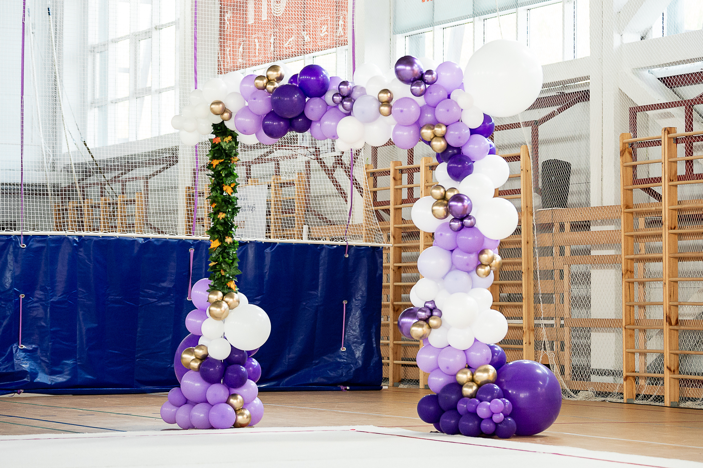 Межрегиональный фестиваль по художественной гимнастике «Выборгская Осе. Спортивный и репортажный фотограф в Санкт-Петербурге Алексей Ковалев