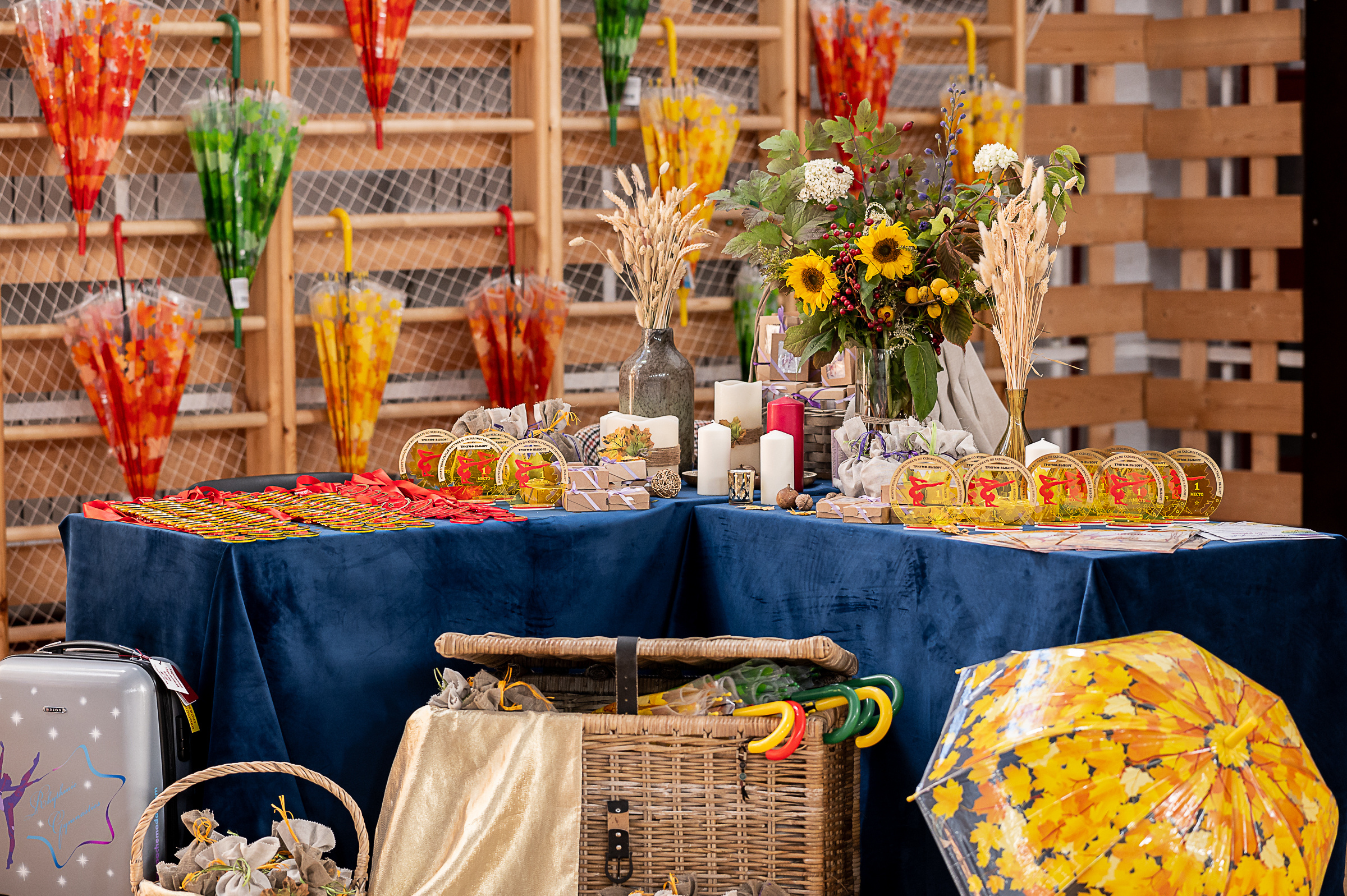 Межрегиональный фестиваль по художественной гимнастике «Выборгская Осе. Спортивный и репортажный фотограф в Санкт-Петербурге Алексей Ковалев