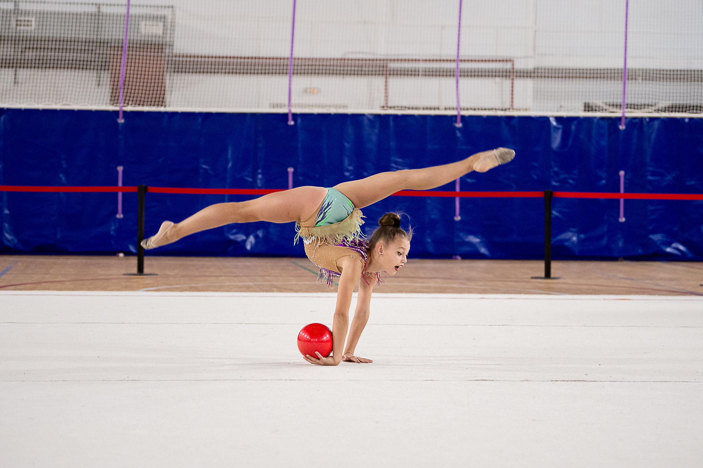Межрегиональный фестиваль по художественной гимнастике «Выборгская Осе. Спортивный и репортажный фотограф в Санкт-Петербурге Алексей Ковалев