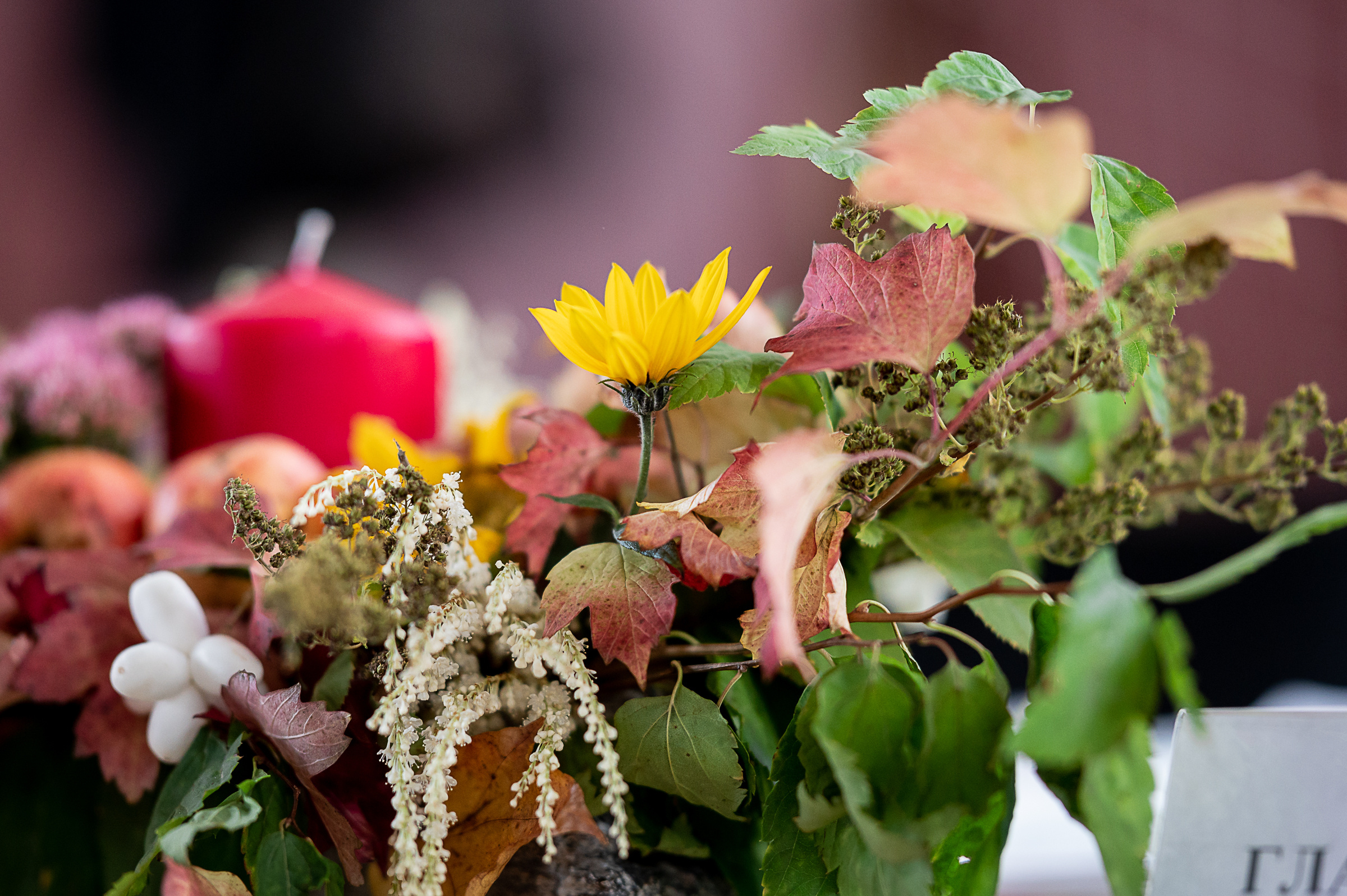 Межрегиональный фестиваль по художественной гимнастике «Выборгская Осе. Спортивный и репортажный фотограф в Санкт-Петербурге Алексей Ковалев