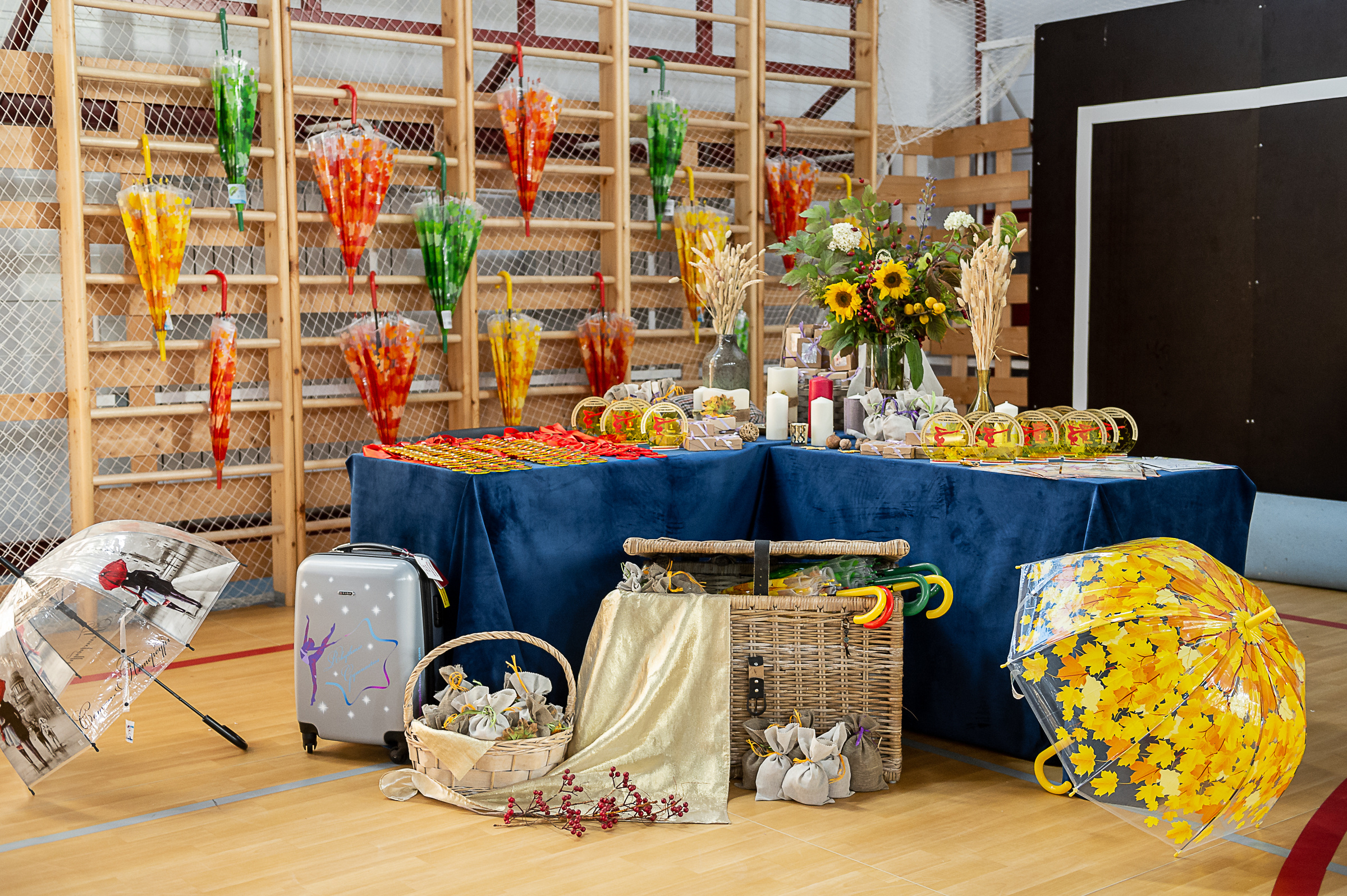 Межрегиональный фестиваль по художественной гимнастике «Выборгская Осе. Спортивный и репортажный фотограф в Санкт-Петербурге Алексей Ковалев