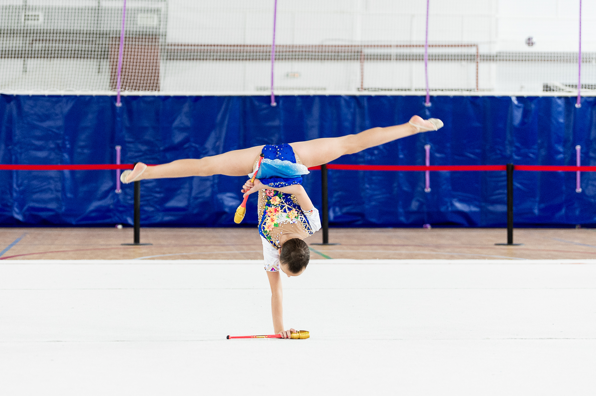 Межрегиональный фестиваль по художественной гимнастике «Выборгская Осе. Спортивный и репортажный фотограф в Санкт-Петербурге Алексей Ковалев