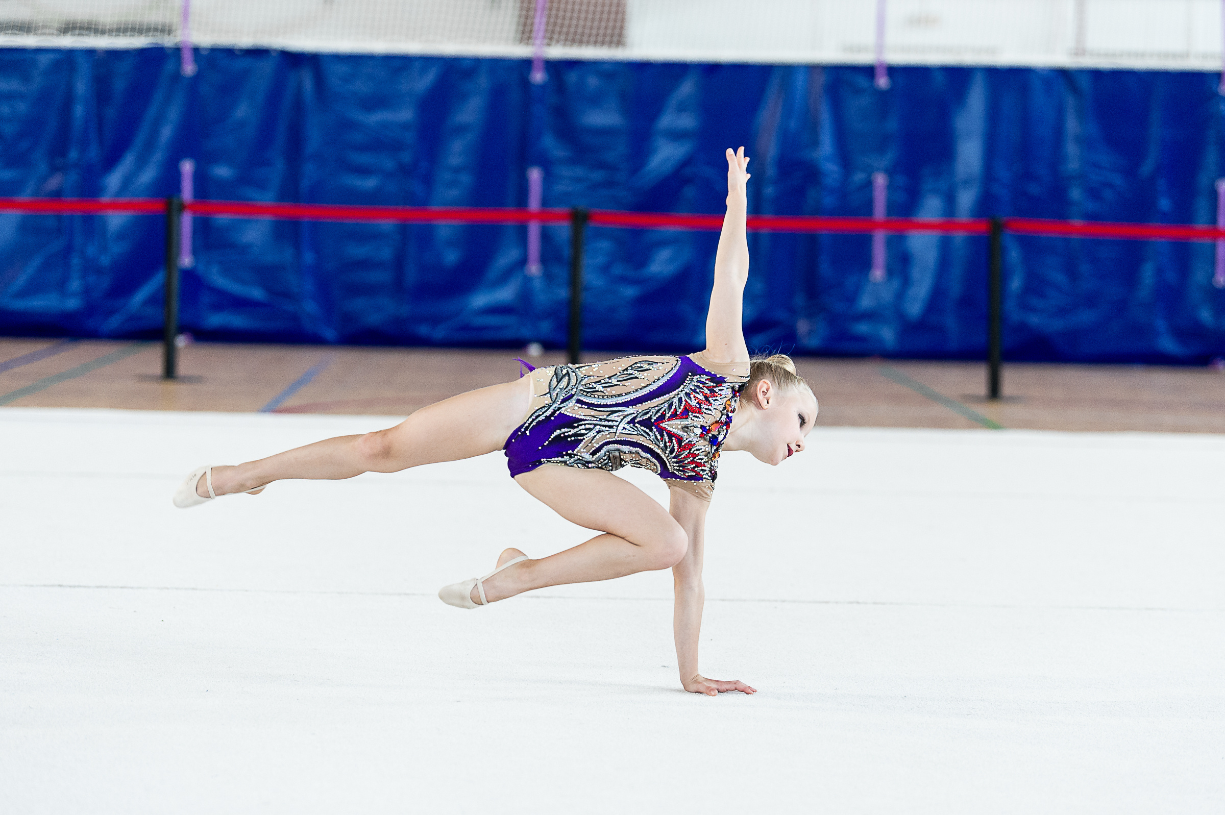 Межрегиональный фестиваль по художественной гимнастике «Выборгская Осе. Спортивный и репортажный фотограф в Санкт-Петербурге Алексей Ковалев