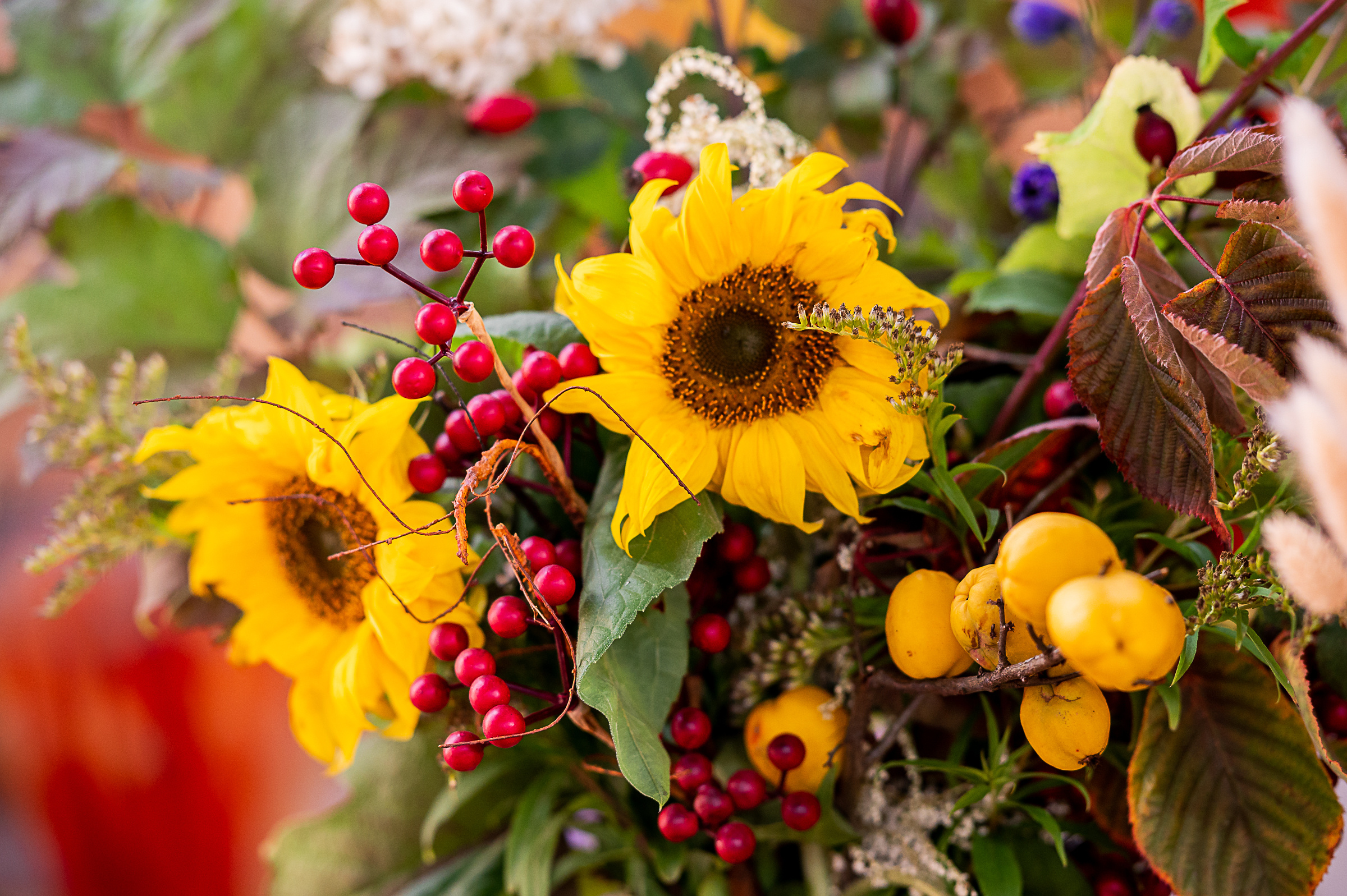 Межрегиональный фестиваль по художественной гимнастике «Выборгская Осе. Спортивный и репортажный фотограф в Санкт-Петербурге Алексей Ковалев