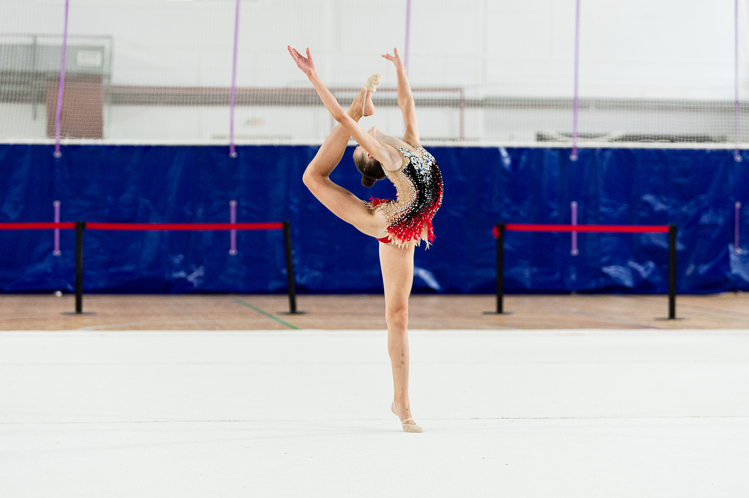 Межрегиональный фестиваль по художественной гимнастике «Выборгская Осе. Спортивный и репортажный фотограф в Санкт-Петербурге Алексей Ковалев