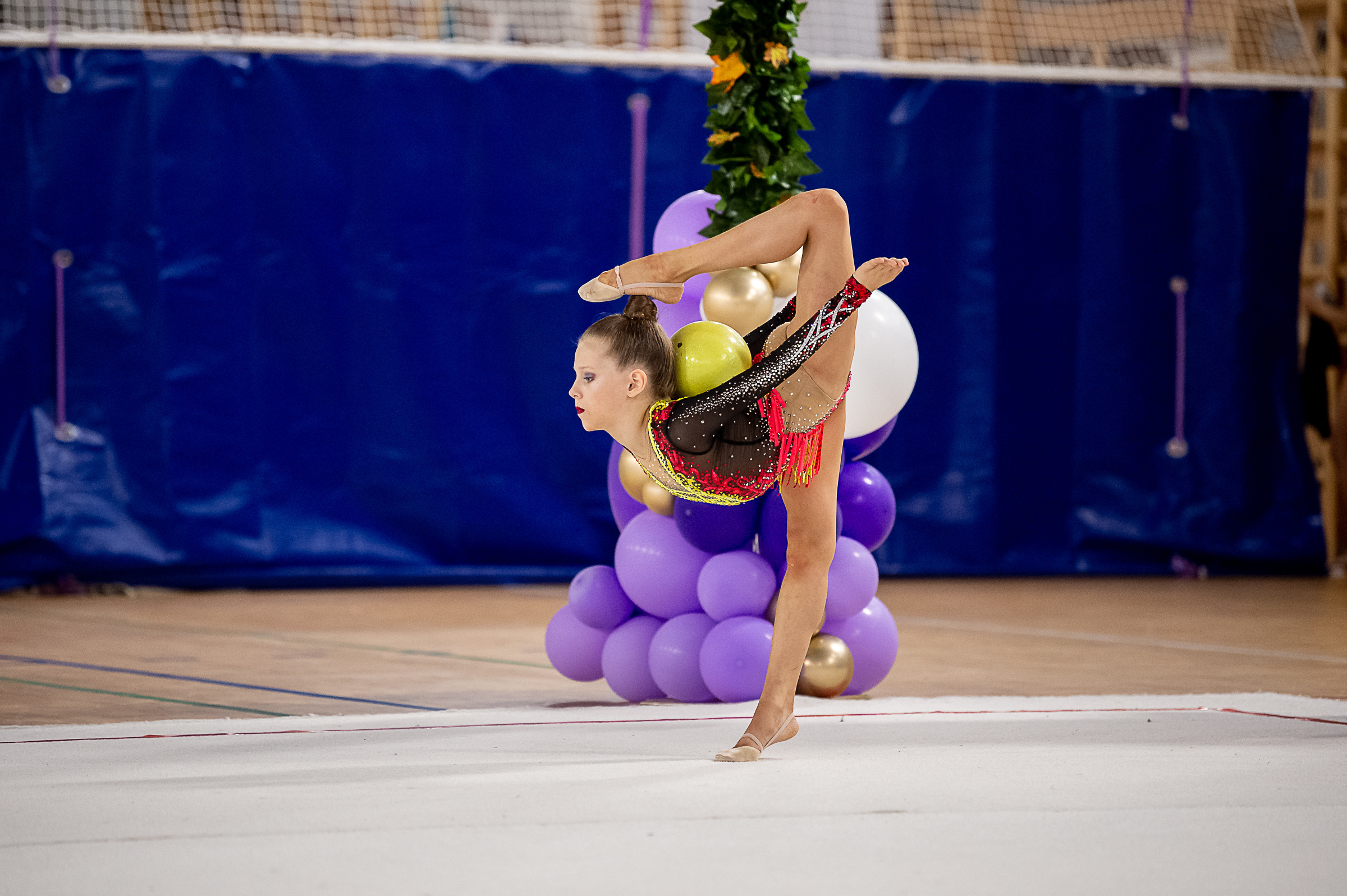 Межрегиональный фестиваль по художественной гимнастике «Выборгская Осе. Спортивный и репортажный фотограф в Санкт-Петербурге Алексей Ковалев
