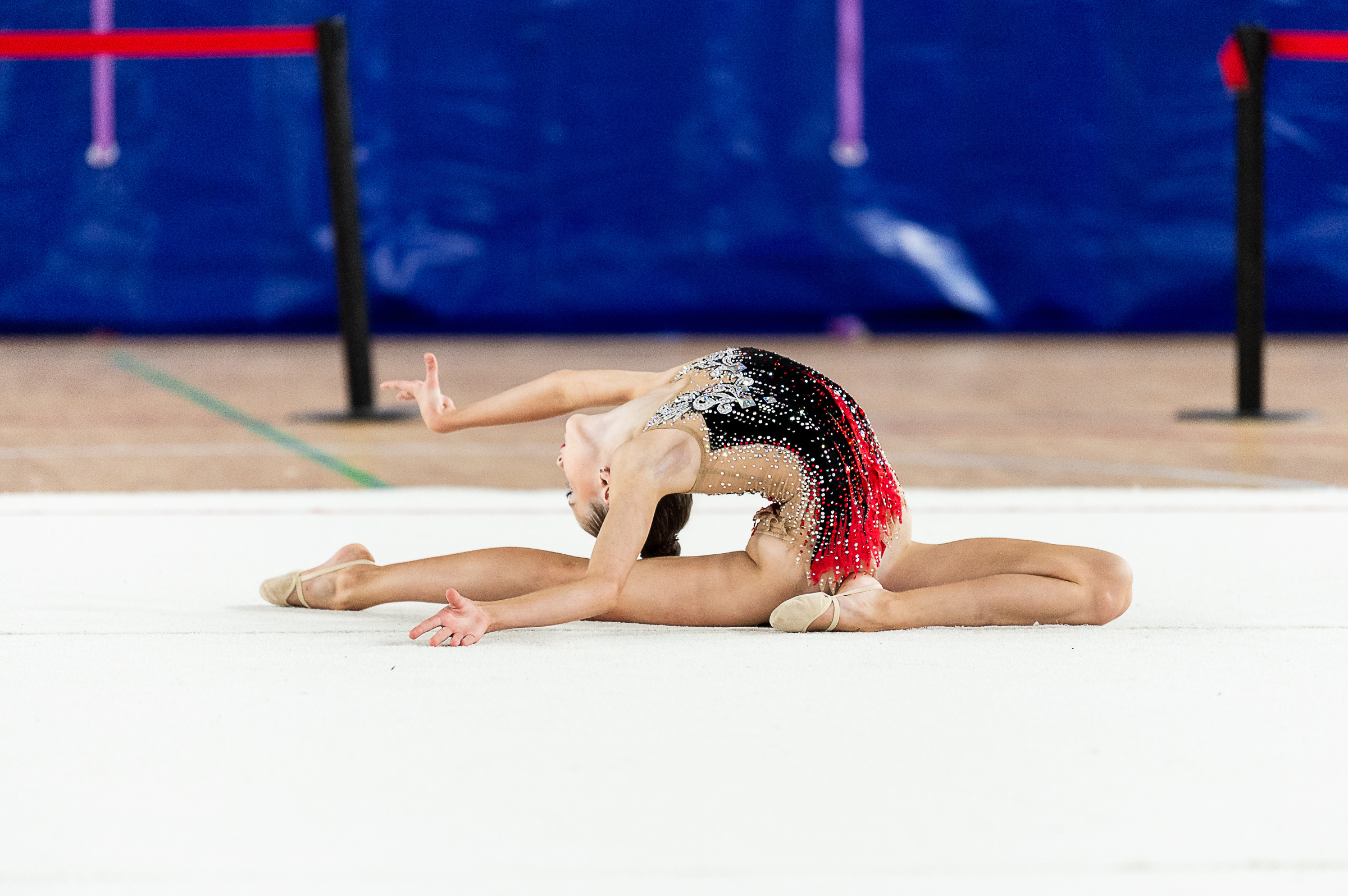 Межрегиональный фестиваль по художественной гимнастике «Выборгская Осе. Спортивный и репортажный фотограф в Санкт-Петербурге Алексей Ковалев