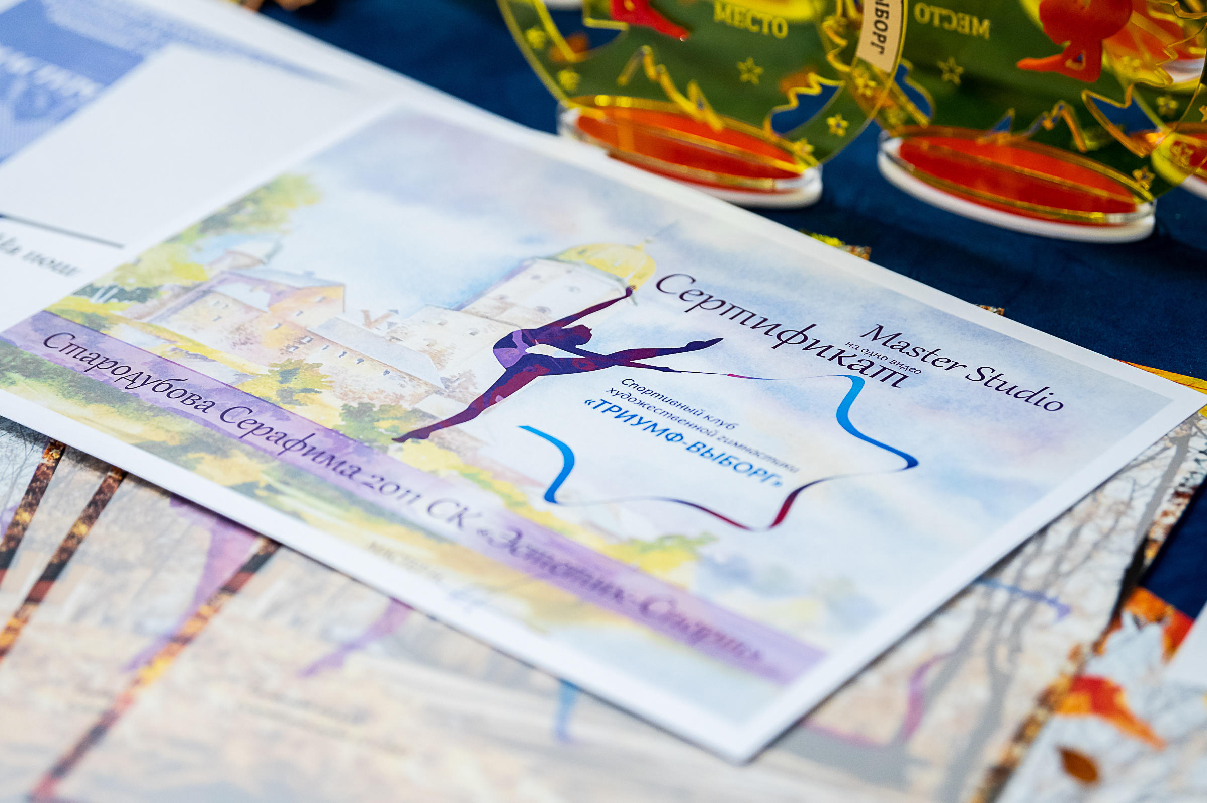 Межрегиональный фестиваль по художественной гимнастике «Выборгская Осе. Спортивный и репортажный фотограф в Санкт-Петербурге Алексей Ковалев