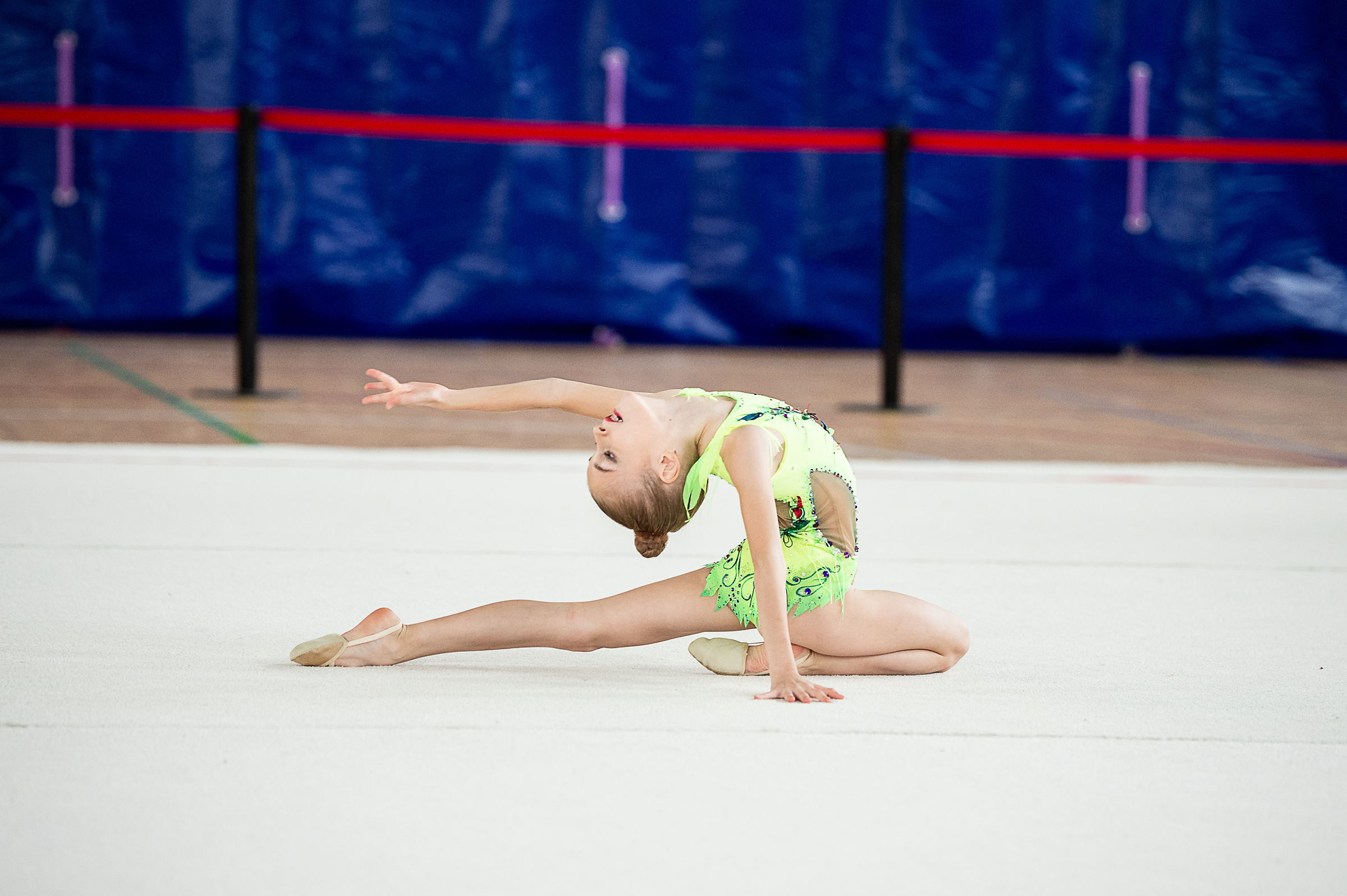 Межрегиональный фестиваль по художественной гимнастике «Выборгская Осе. Спортивный и репортажный фотограф в Санкт-Петербурге Алексей Ковалев