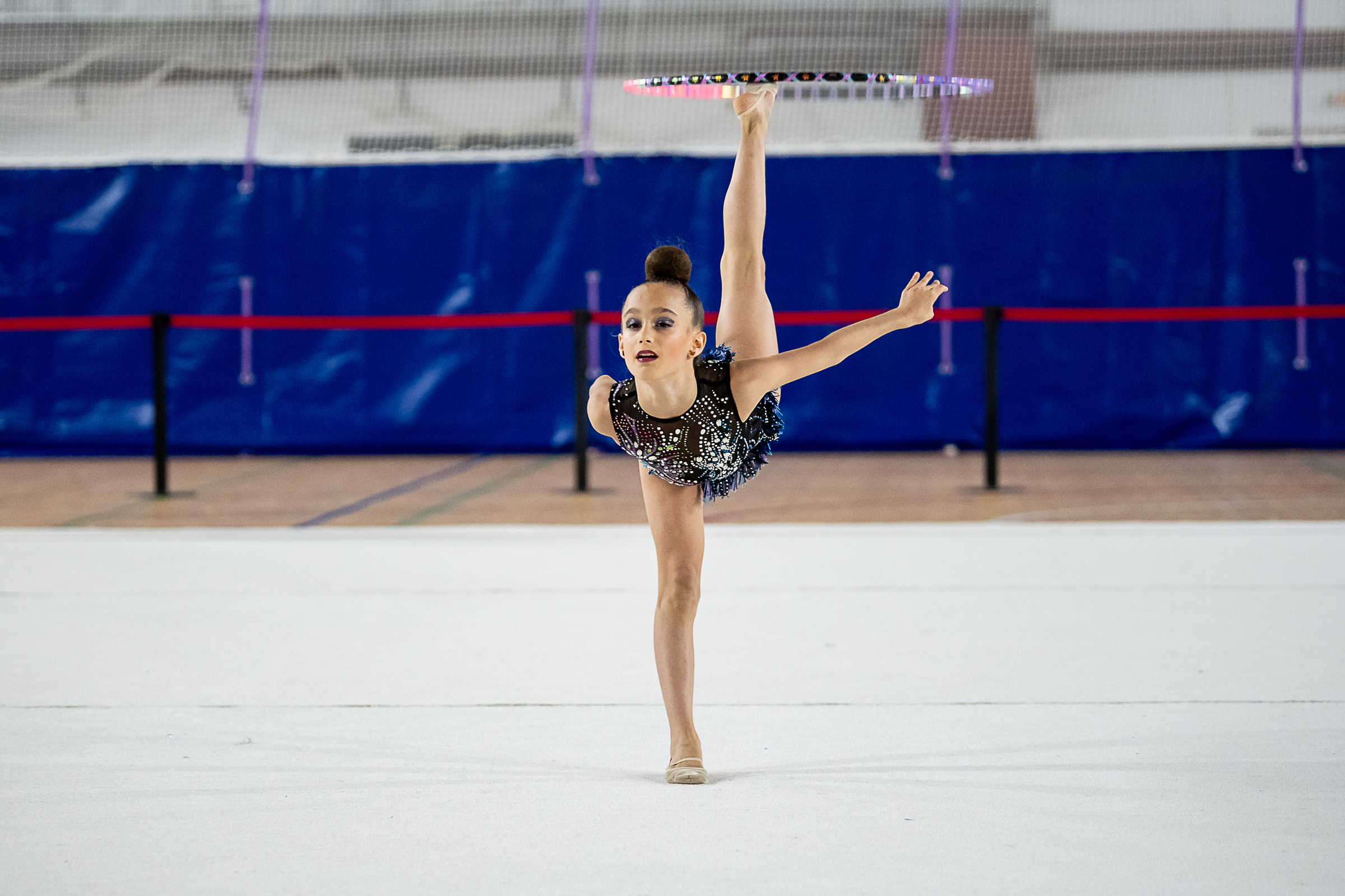 Межрегиональный фестиваль по художественной гимнастике «Выборгская Осе. Спортивный и репортажный фотограф в Санкт-Петербурге Алексей Ковалев