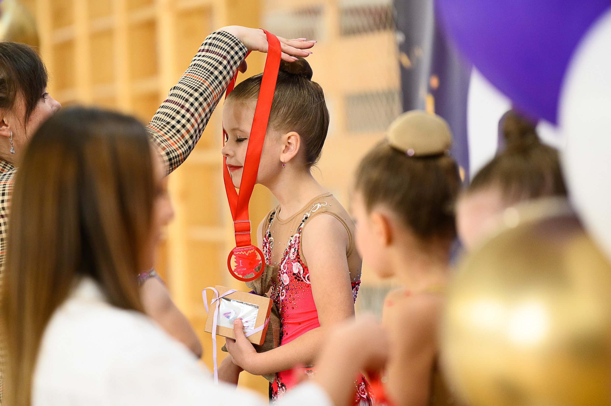 Межрегиональный фестиваль по художественной гимнастике «Выборгская Осе. Спортивный и репортажный фотограф в Санкт-Петербурге Алексей Ковалев