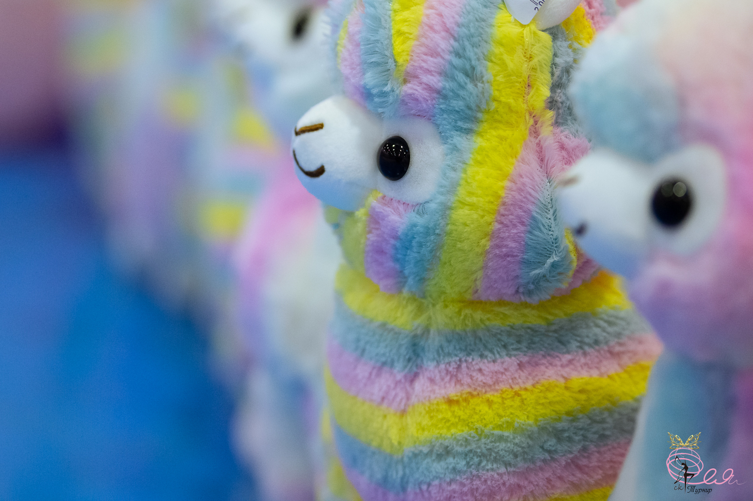 III Открытый турнир по художественной гимнастике «сНежная Фея». Спортивный и репортажный фотограф в Санкт-Петербурге Алексей Ковалев