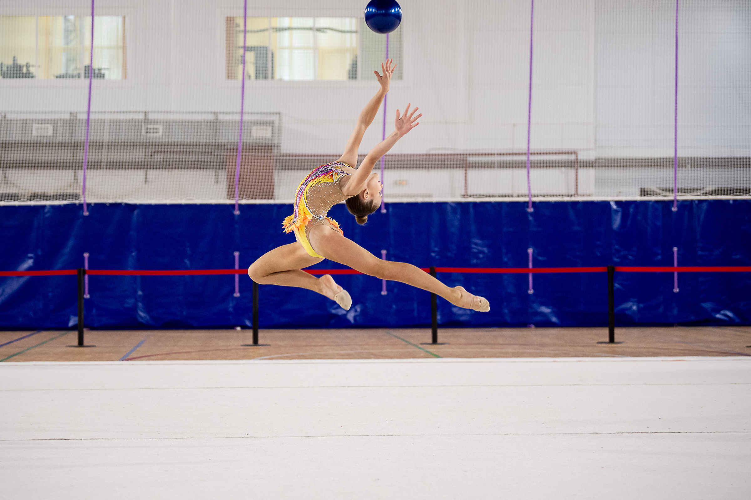 Межрегиональный фестиваль по художественной гимнастике «Выборгская Осе. Спортивный и репортажный фотограф в Санкт-Петербурге Алексей Ковалев