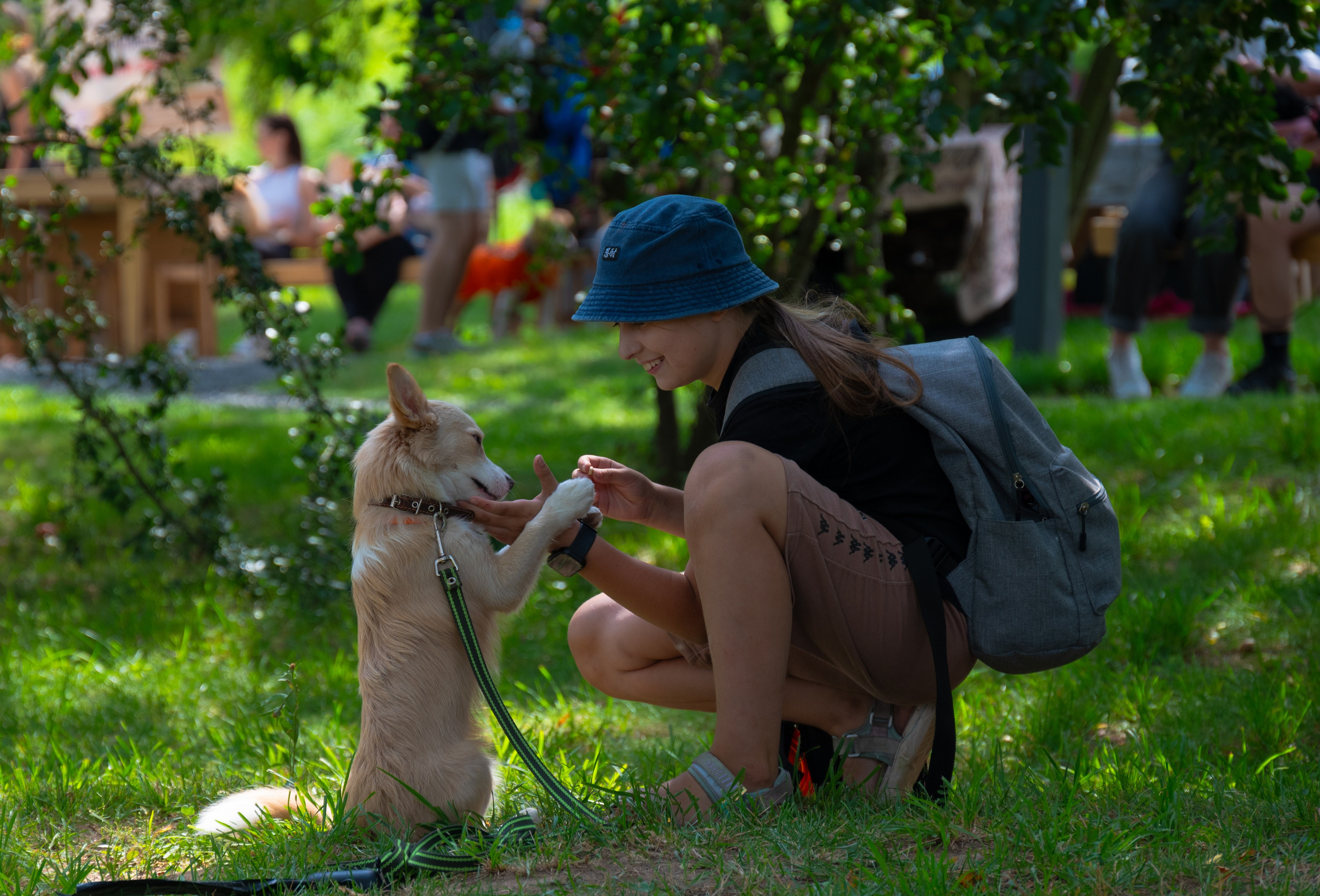 Pets Fest. Юлия Чайко, фотограф в Минске