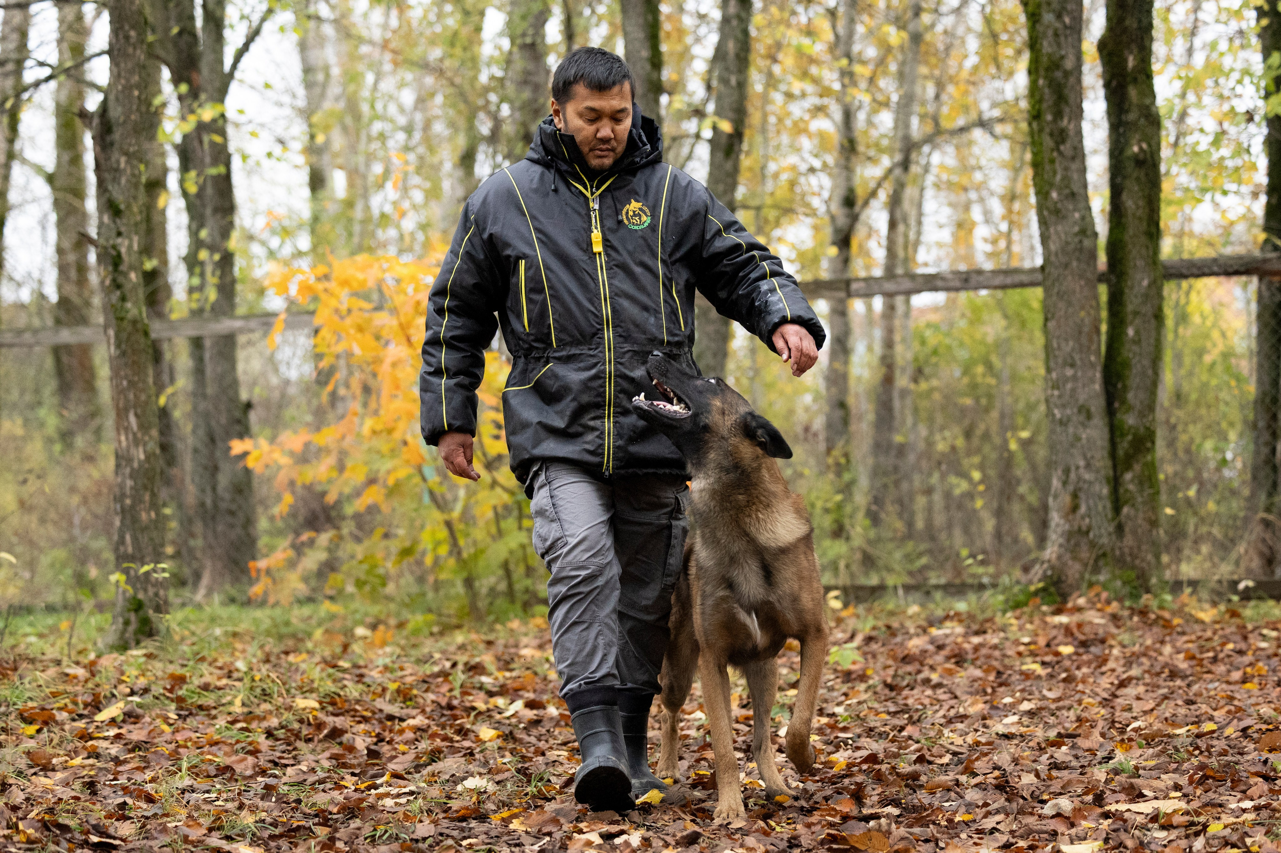 Соревнования по Мондьорингу г. Вологда. Фотограф-анималист Анна Маринич