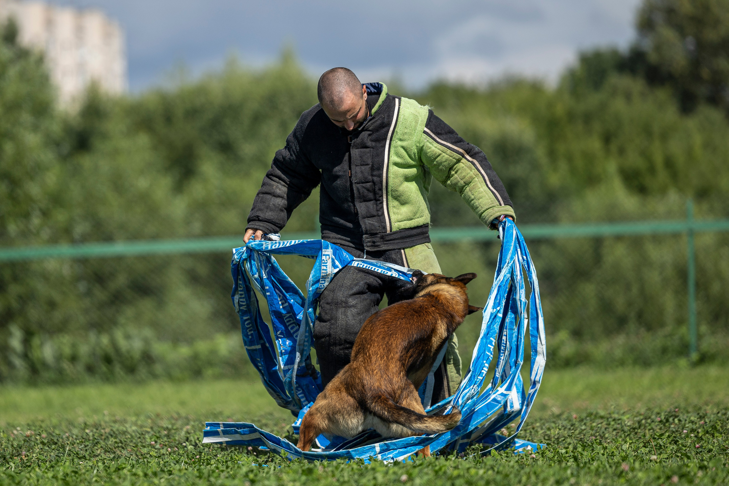 Соревнования по Мондьорингу г. Вологда 10-11.08.2024. Фотограф-анималист Анна Маринич