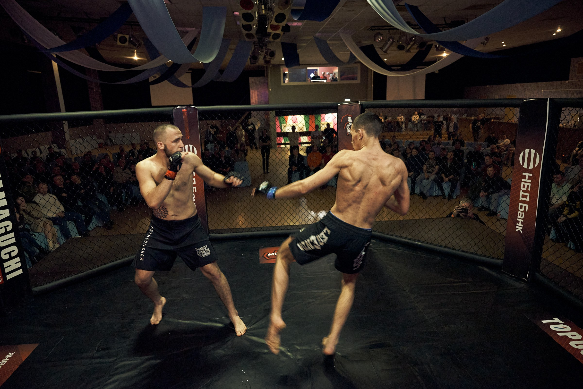 Бои. Маляревич Дмитрий свадебный фотограф