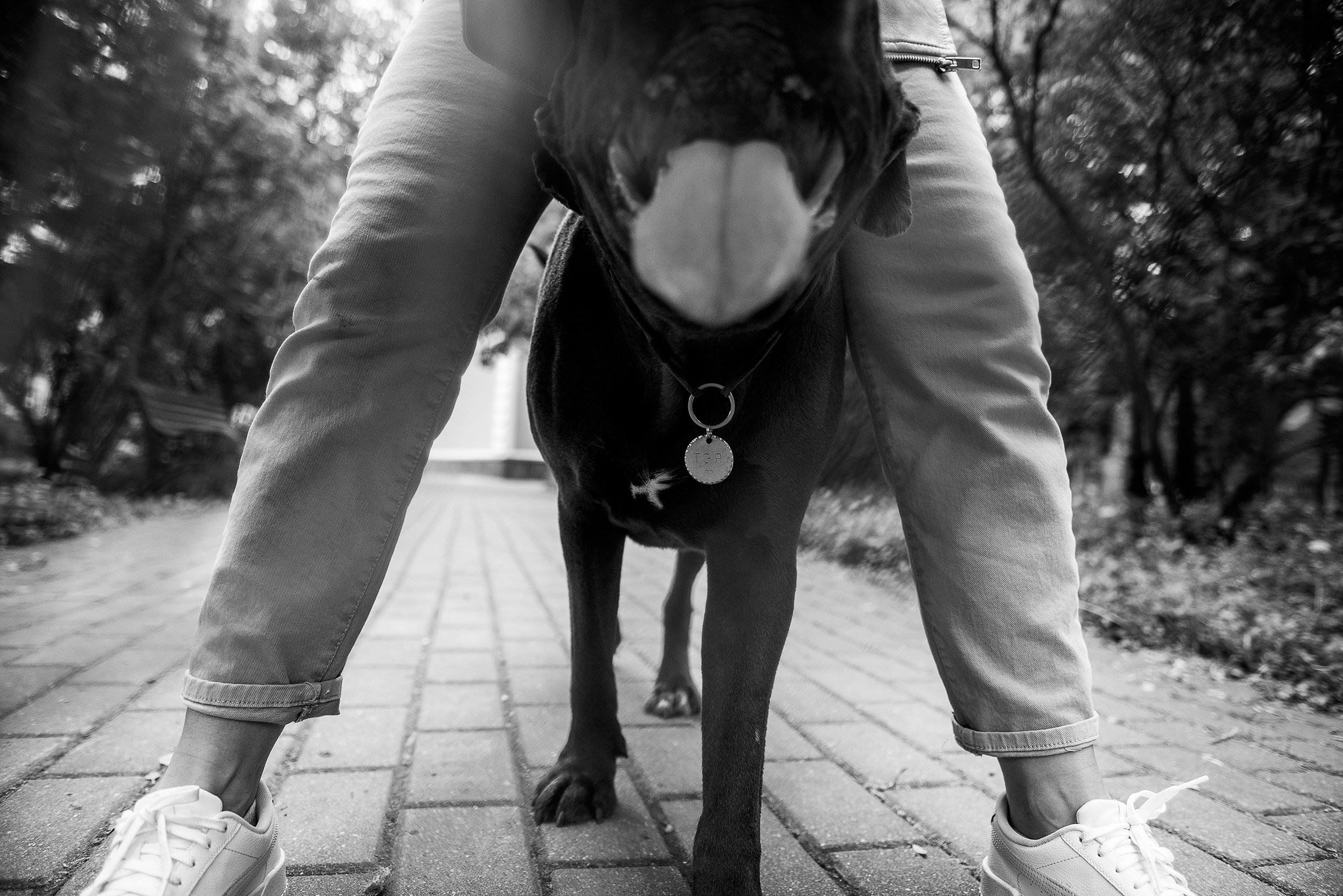 Кристина и Тея. Семейный Фотограф в Москве Ирина Хохлова