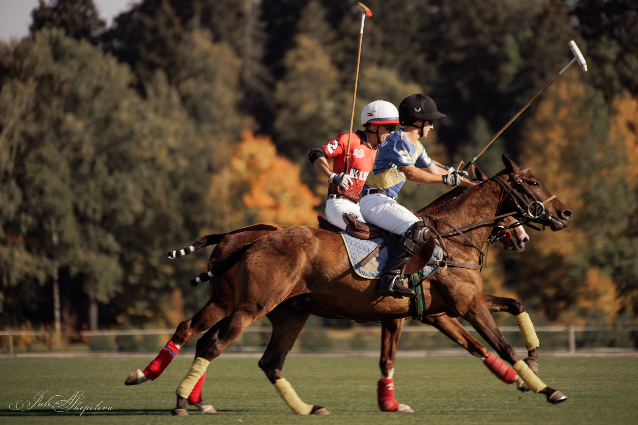 Осенний кубок по конному поло. Детская Конная фотография в Москве Юлия Шепелева