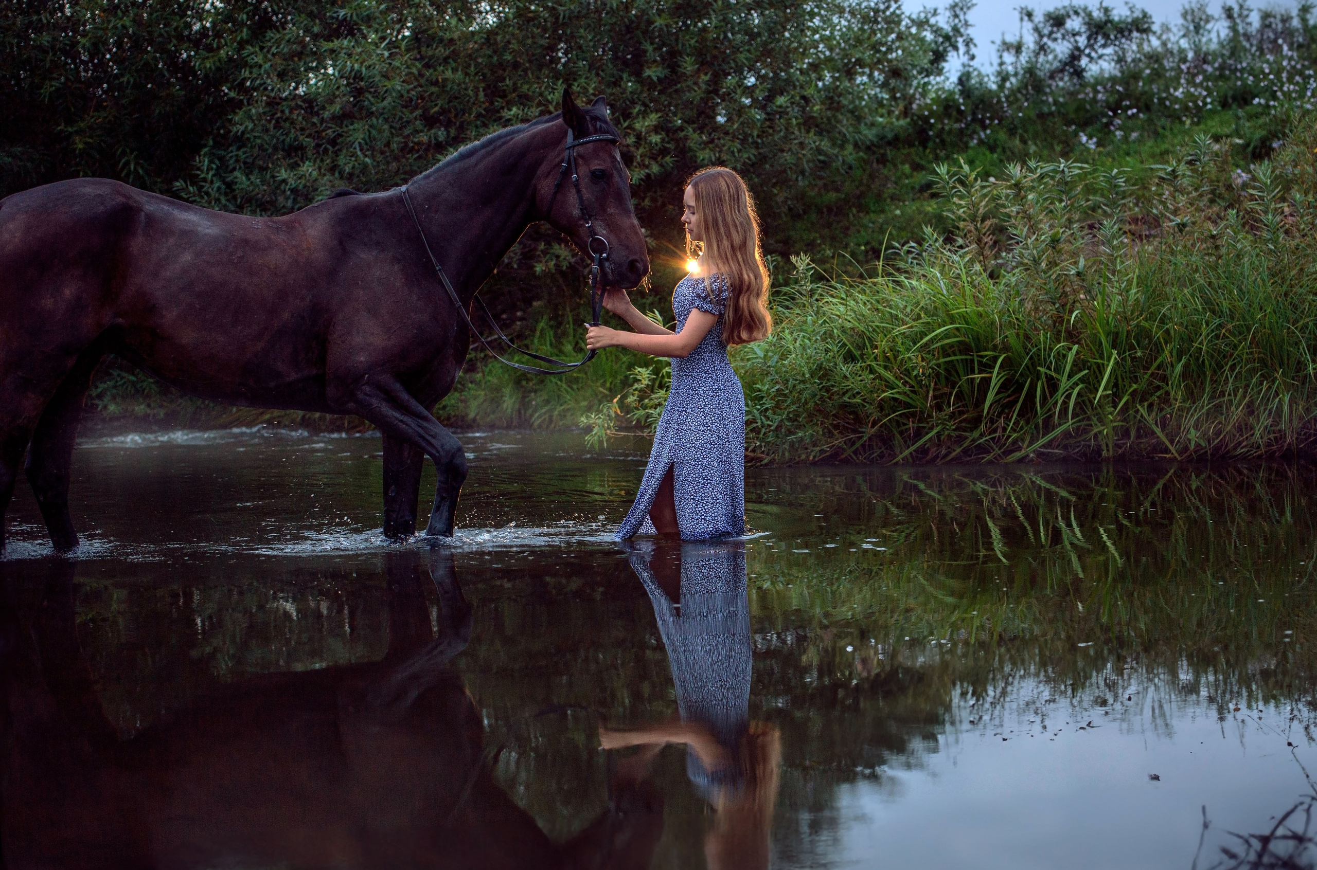 Конный двор. Конный фотограф в Красноярске — Любовь Похабова