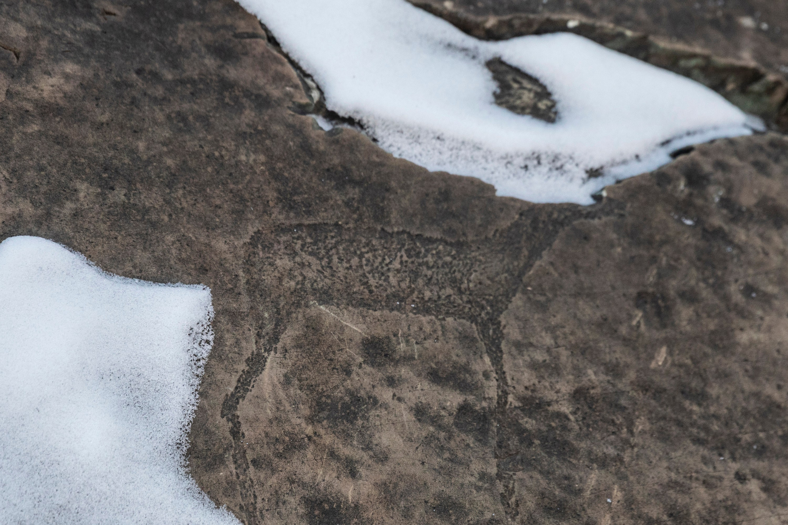 Алтай в декабре. Марина Захарова — Фотограф. Москва / Marina Zakharova — Photographer