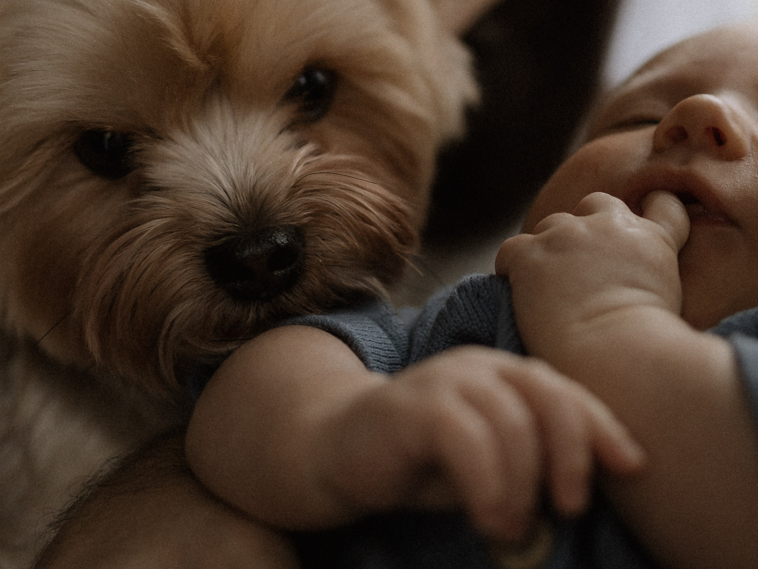 Фотограф во Владимире, Москве и Суздале-Виктория Чистякова