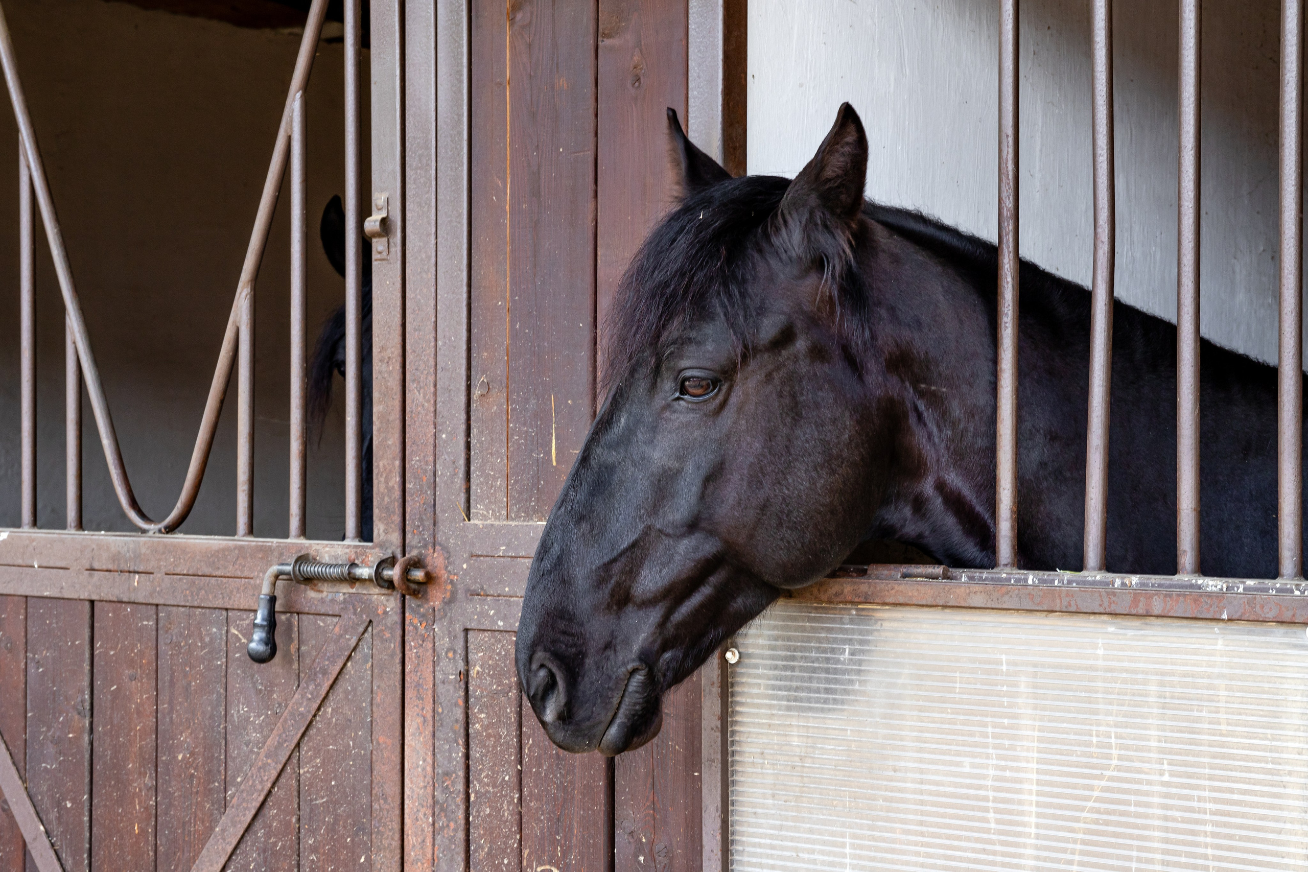 Парк-отель «Орлиное гнездо». Номера в домиках. п. Горячий Ключ. Интерьерный фотограф в Краснодарском крае Светлана Шурлова