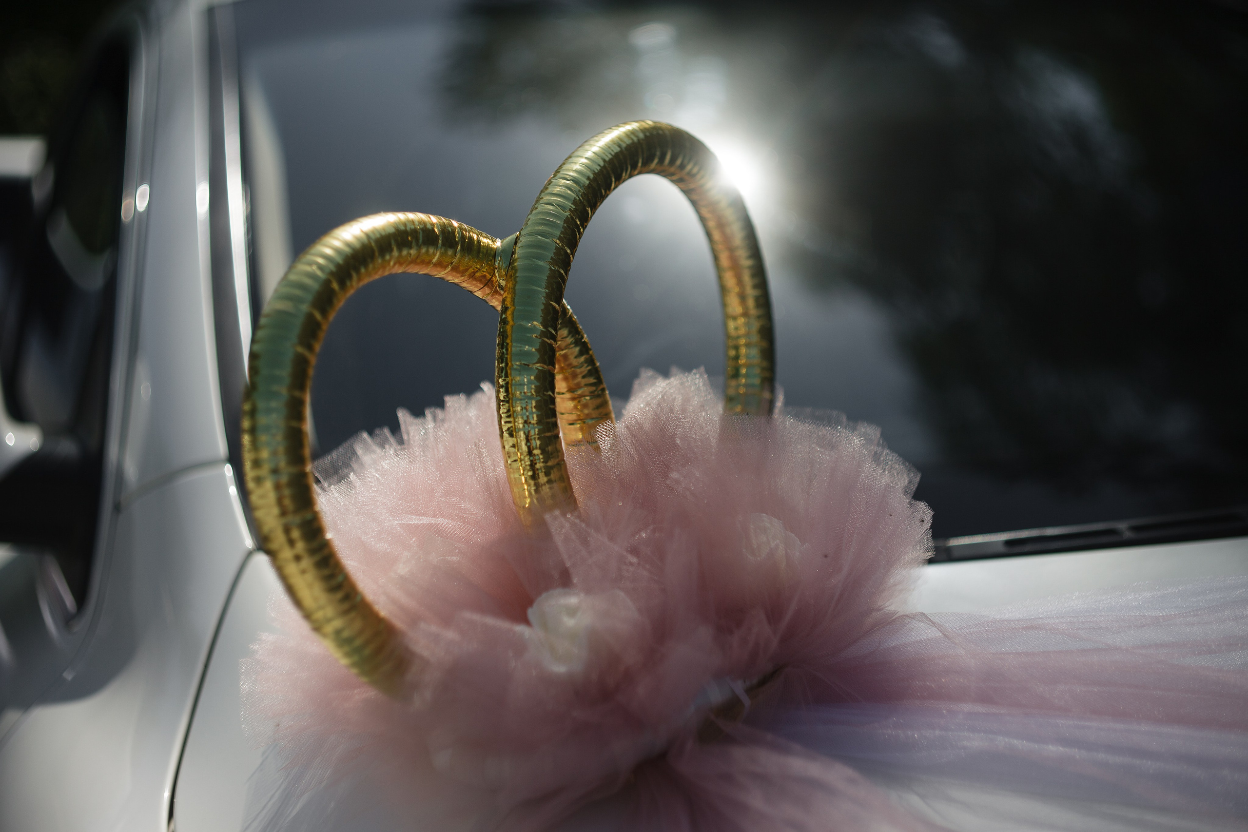 Свадебная фотосессия в Саяногорске. Портреты с душой: Иван Зиновьев -Фотограф в Саяногорске