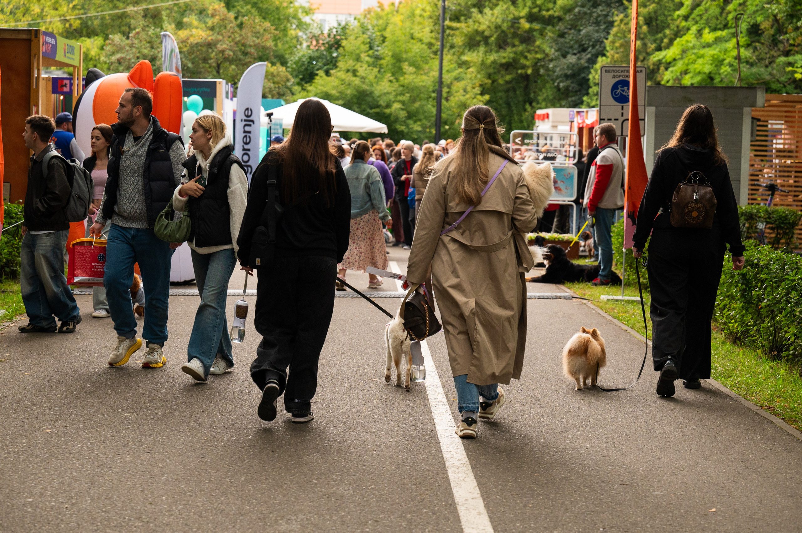 4lapy fest 2025. Photographer in Moscow Anna Chistiakova