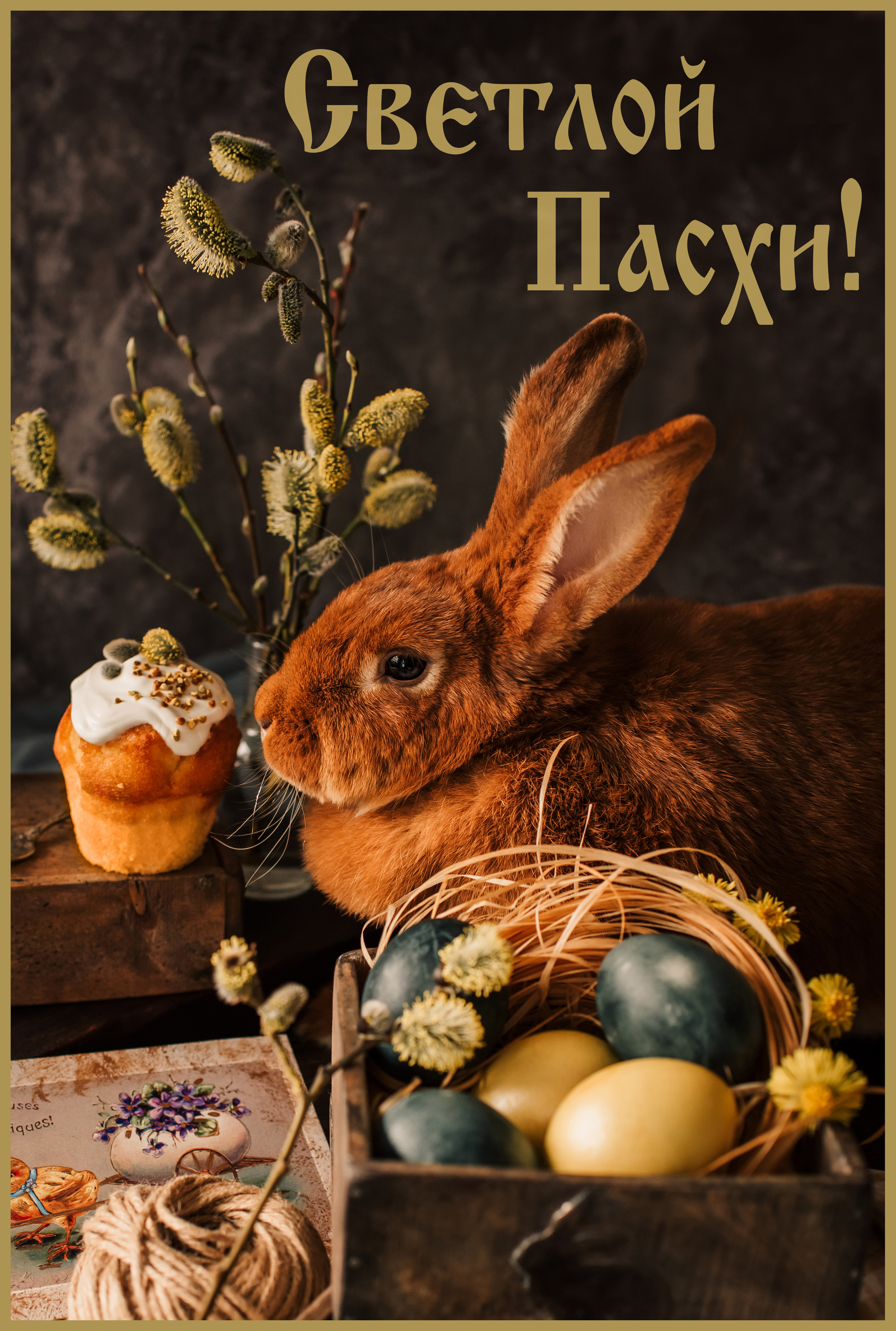 Хороший фотограф. Отзыв фотографу. Семейный и Свадебный фотограф. Санкт-Петербург. Пушкин