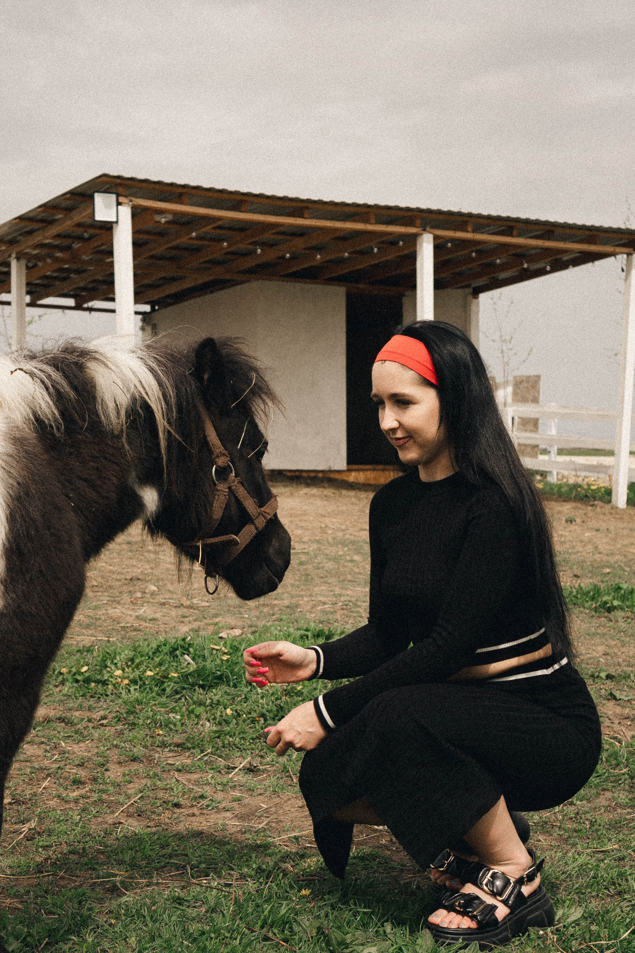 Ферма Альпак. Профессиональный фотограф, Санкт-Петербург — Виктория Богомолова