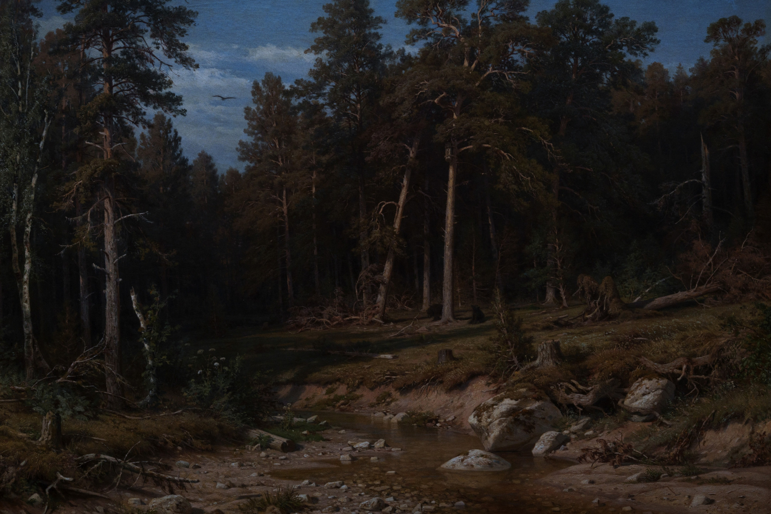 The Tretyakov Gallery / Moscow SS25. Фотограф Юрин Евгений