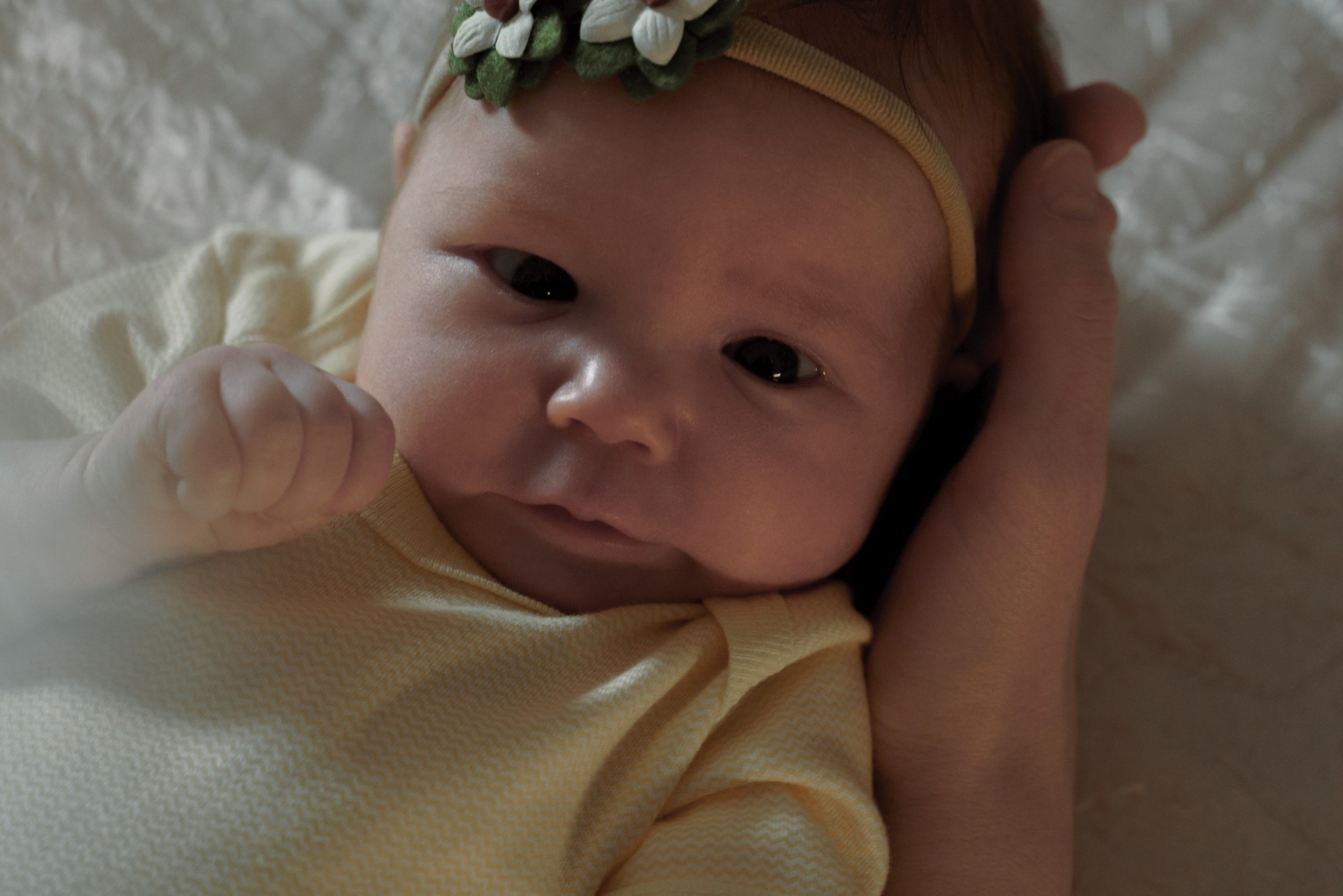 Фото и видеосъемка с новорожденным. Видеограф Осинина Татьяна — видеосъемка в Москве