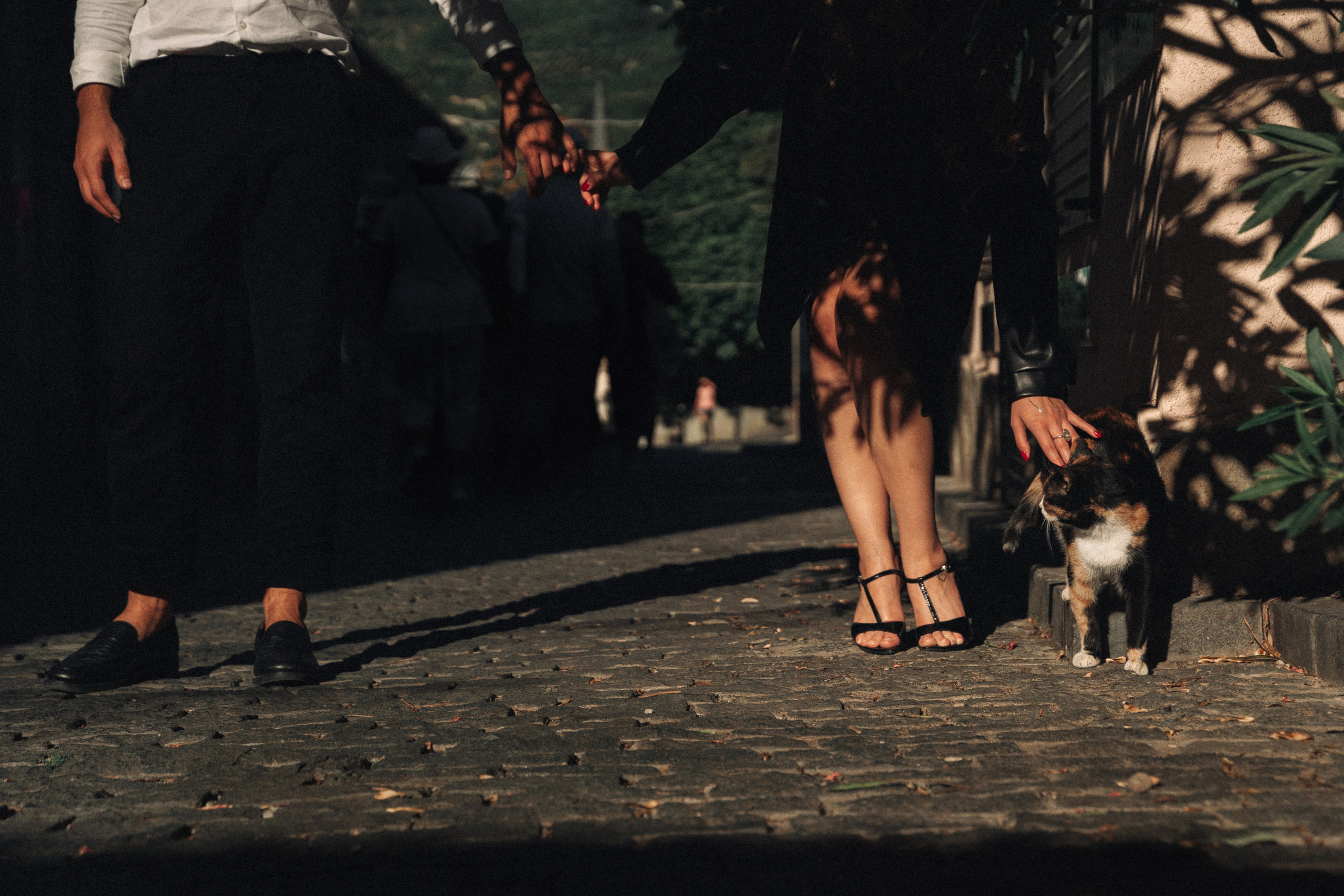 Юлия и Алексей. Фотограф Павел Беляев