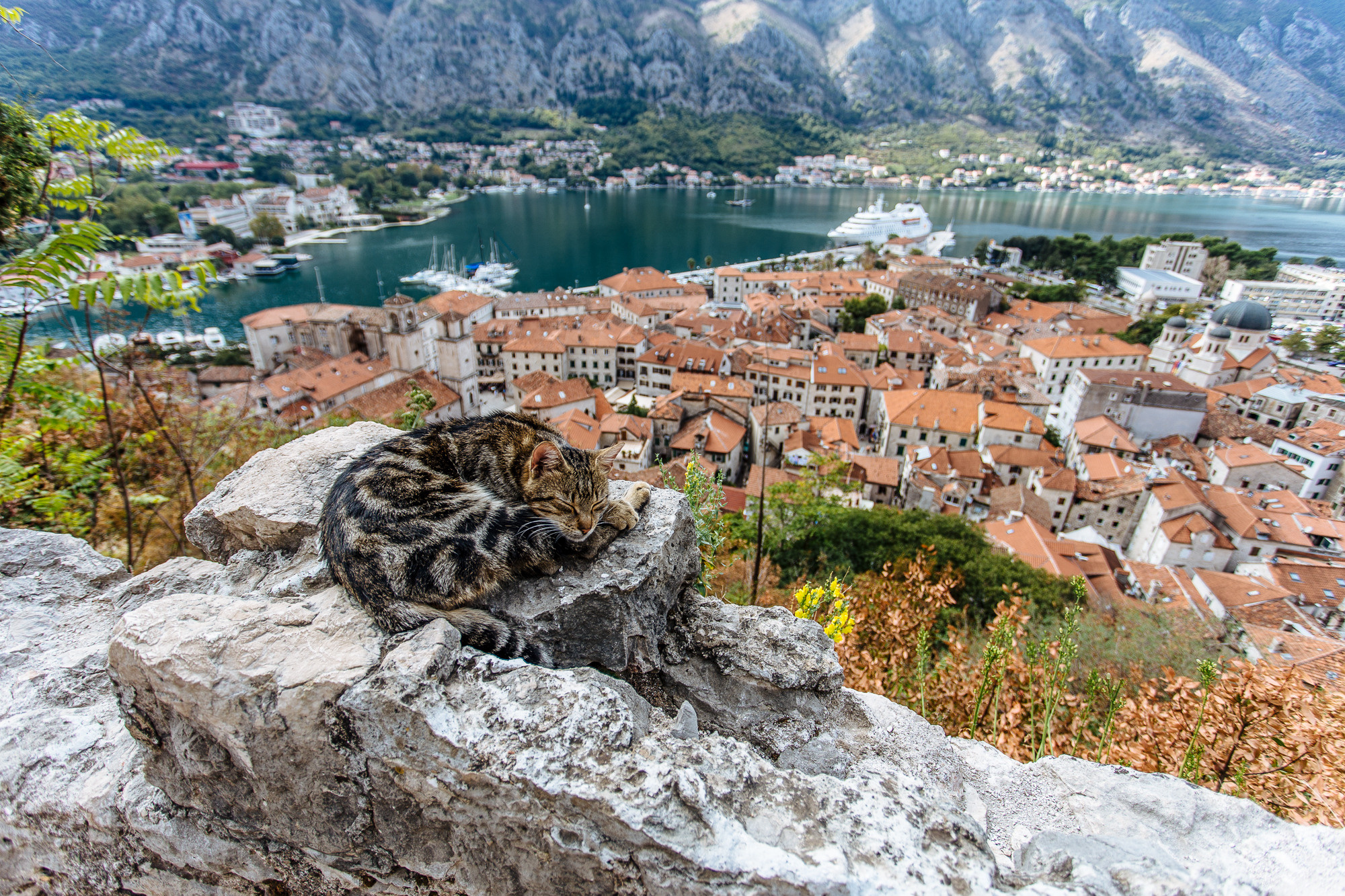 Черногория. Хороший репортажный и промышленный фотограф в Казани Алексей Щелконогов