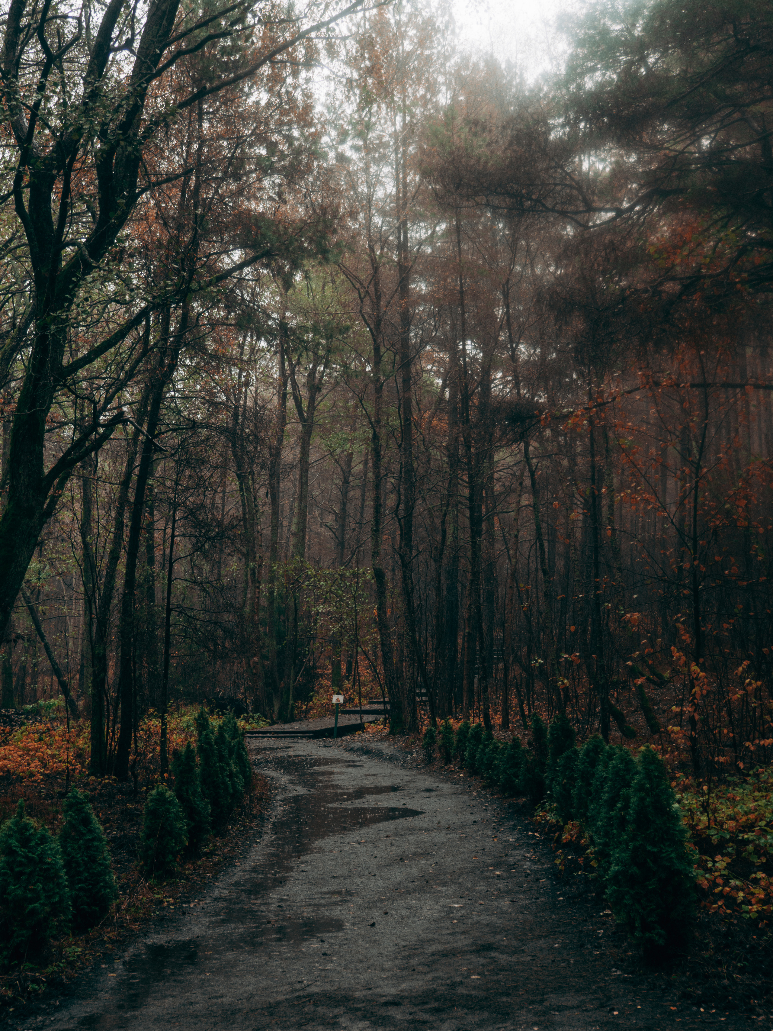Калининград. Хороший репортажный и промышленный фотограф в Казани Алексей Щелконогов