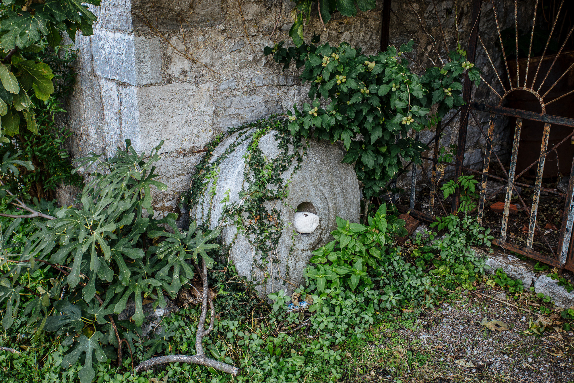 Черногория. Хороший репортажный и промышленный фотограф в Казани Алексей Щелконогов