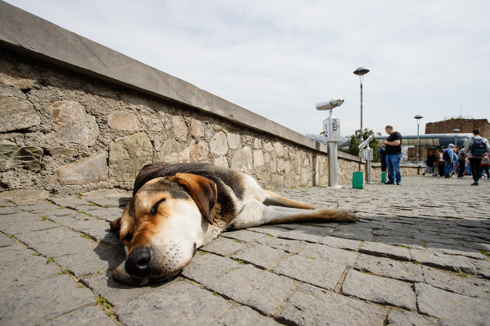 Грузия. Хороший репортажный и промышленный фотограф в Казани Алексей Щелконогов