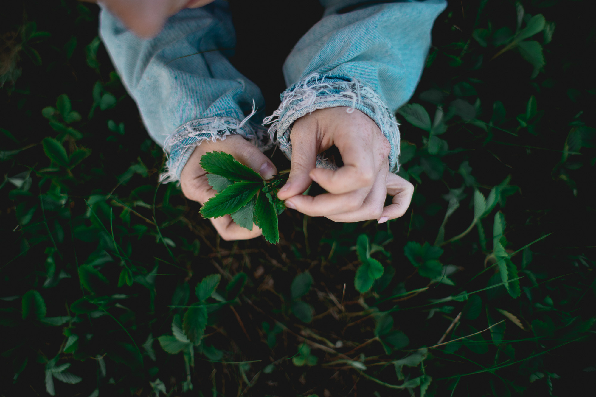 FREEEDOM. Хороший репортажный и промышленный фотограф в Казани Алексей Щелконогов