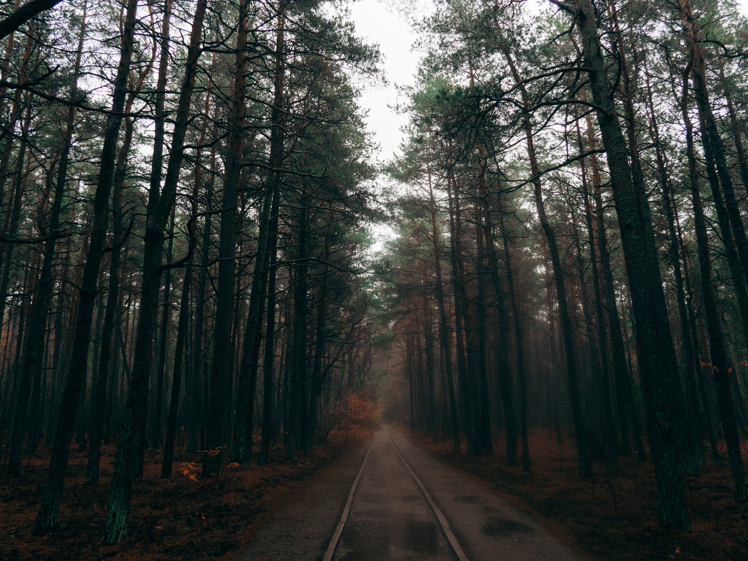 Калининград. Хороший репортажный и промышленный фотограф в Казани Алексей Щелконогов