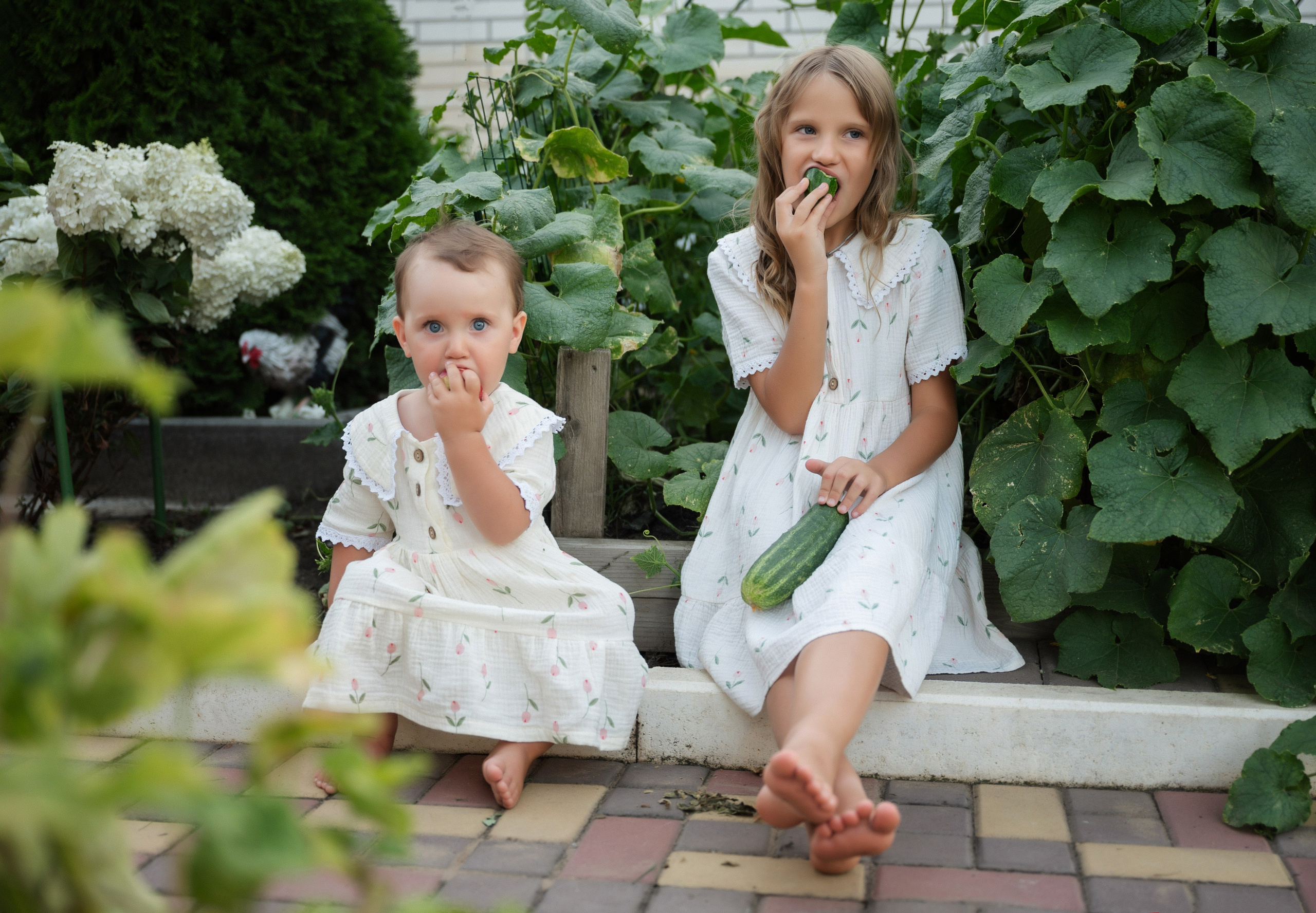 Семейная с правнучками. Фотограф Алёна Мил