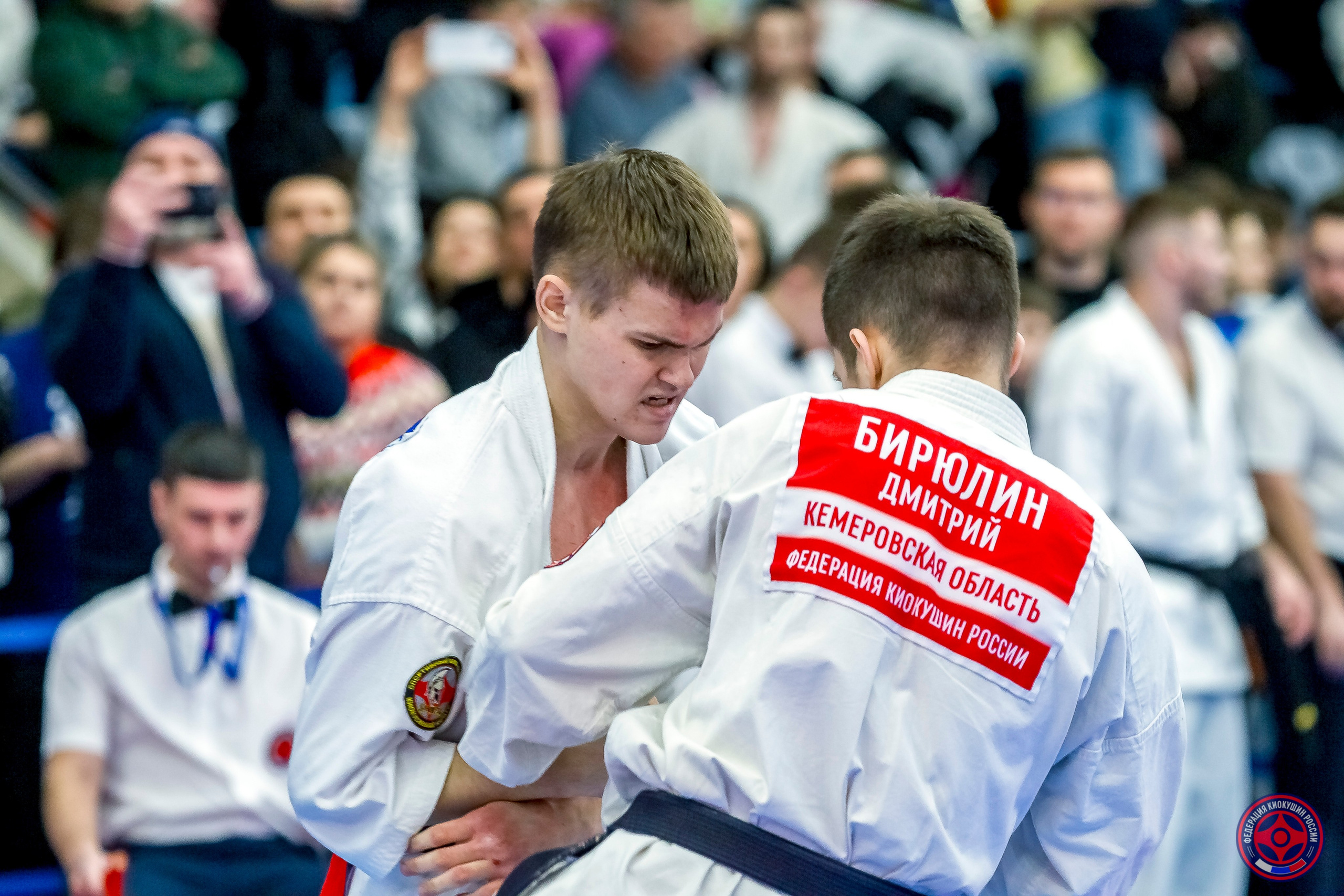 Международный турнир по киокушин «Открытый кубок Seiken». Репортажная съемка в Москве и области. Анималистика