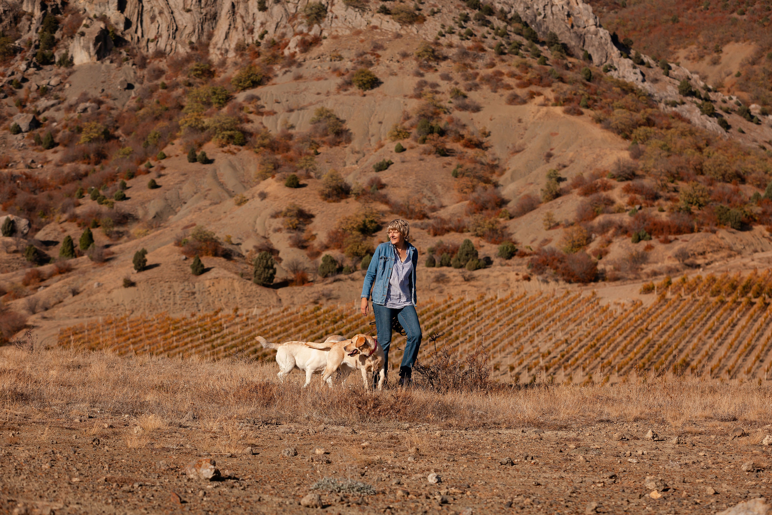Лабрадоры и горы. Фотограф-анималист в Краснодаре Маша Мельникова