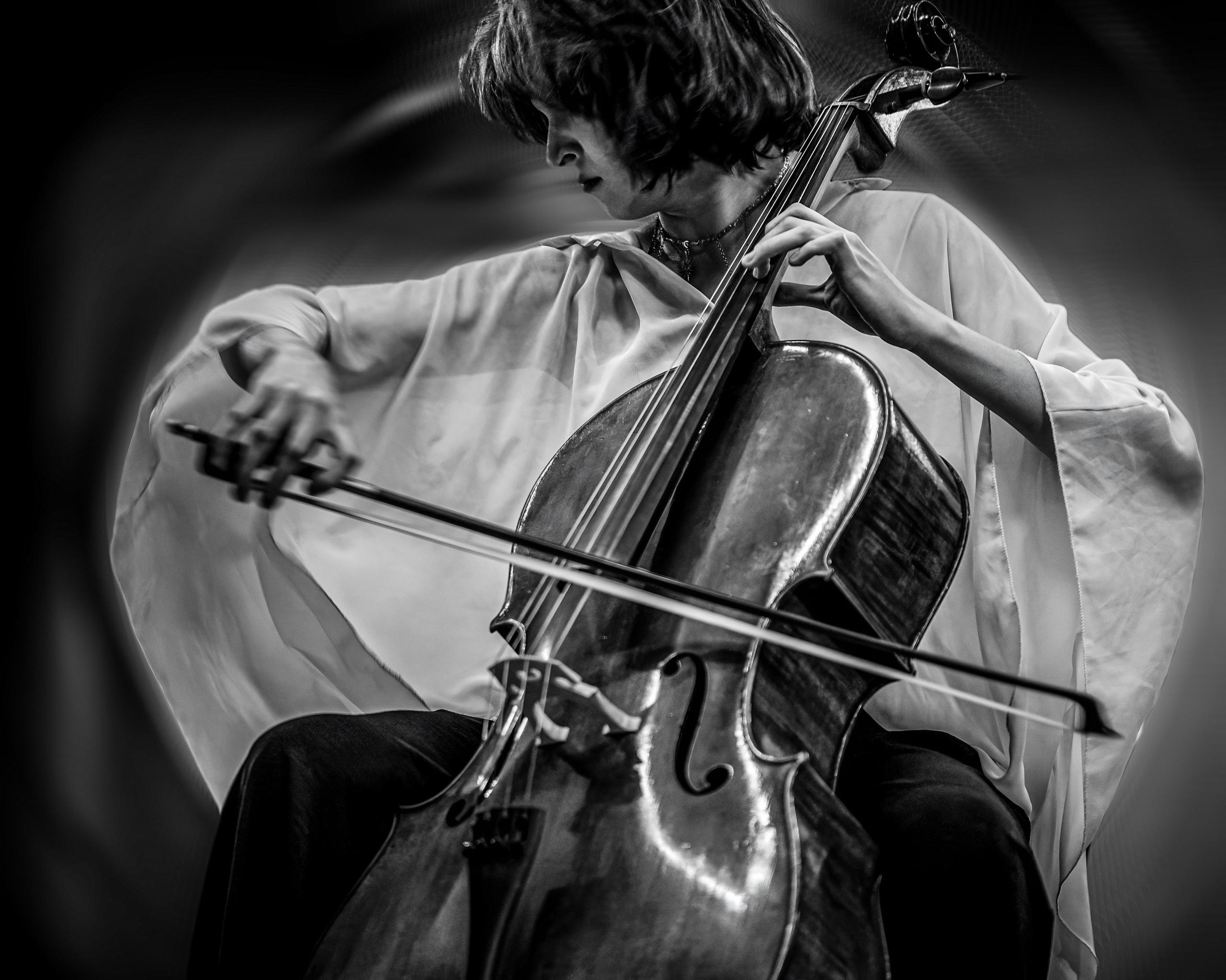 Виолончель. Фотограф в Москве, фотожурналист Александр Малахов